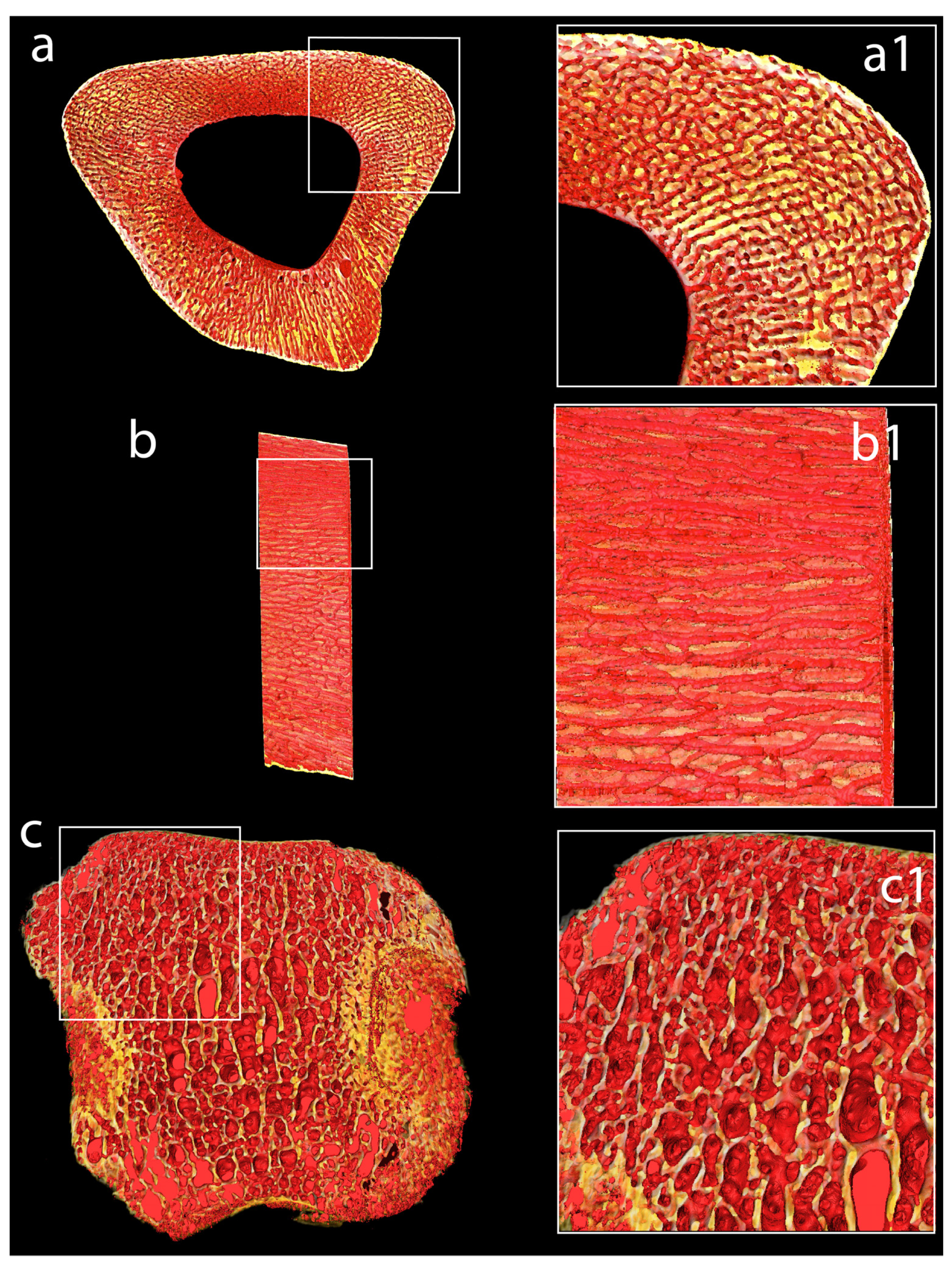 Biology 15 01090 g008