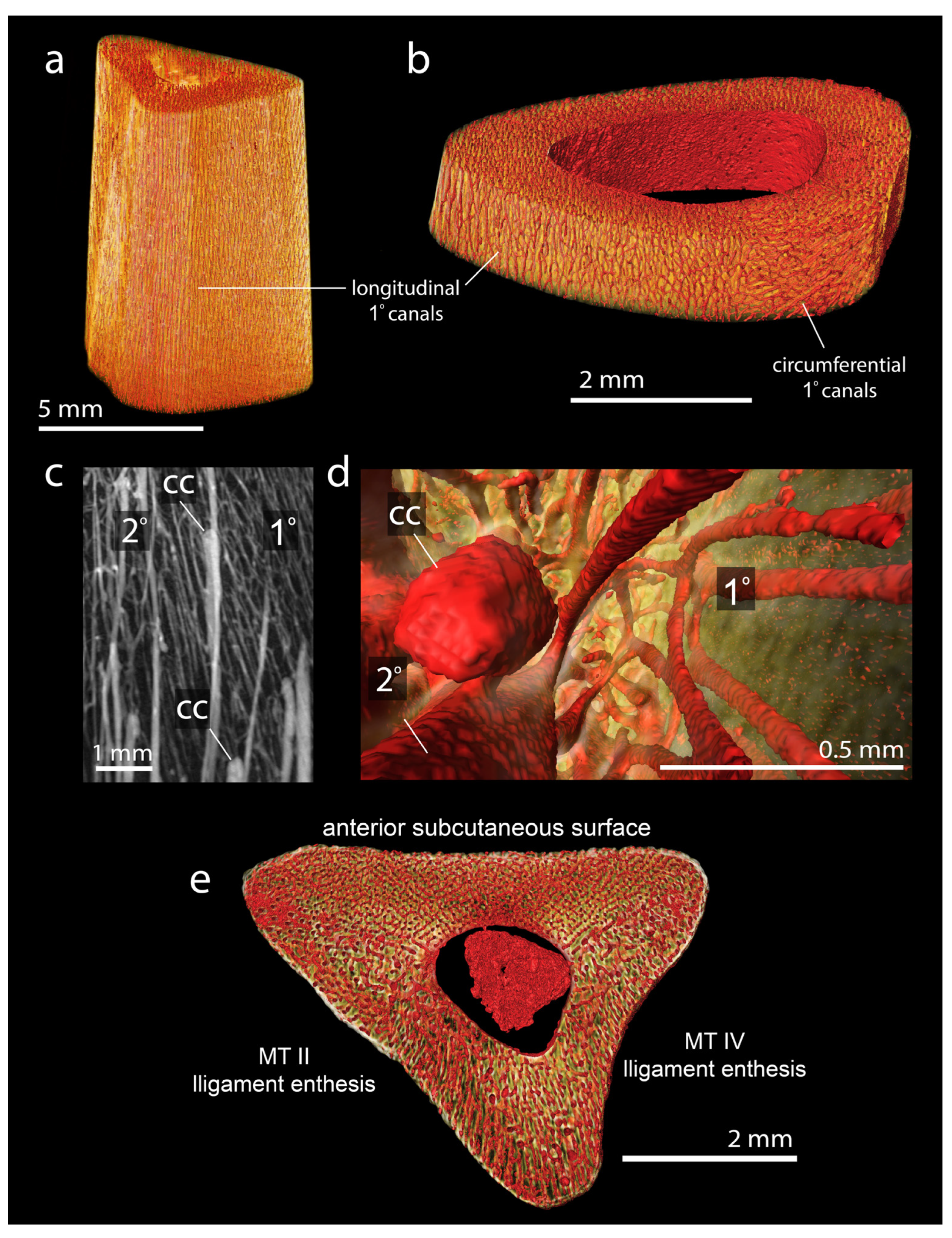 Biology 15 01090 g010