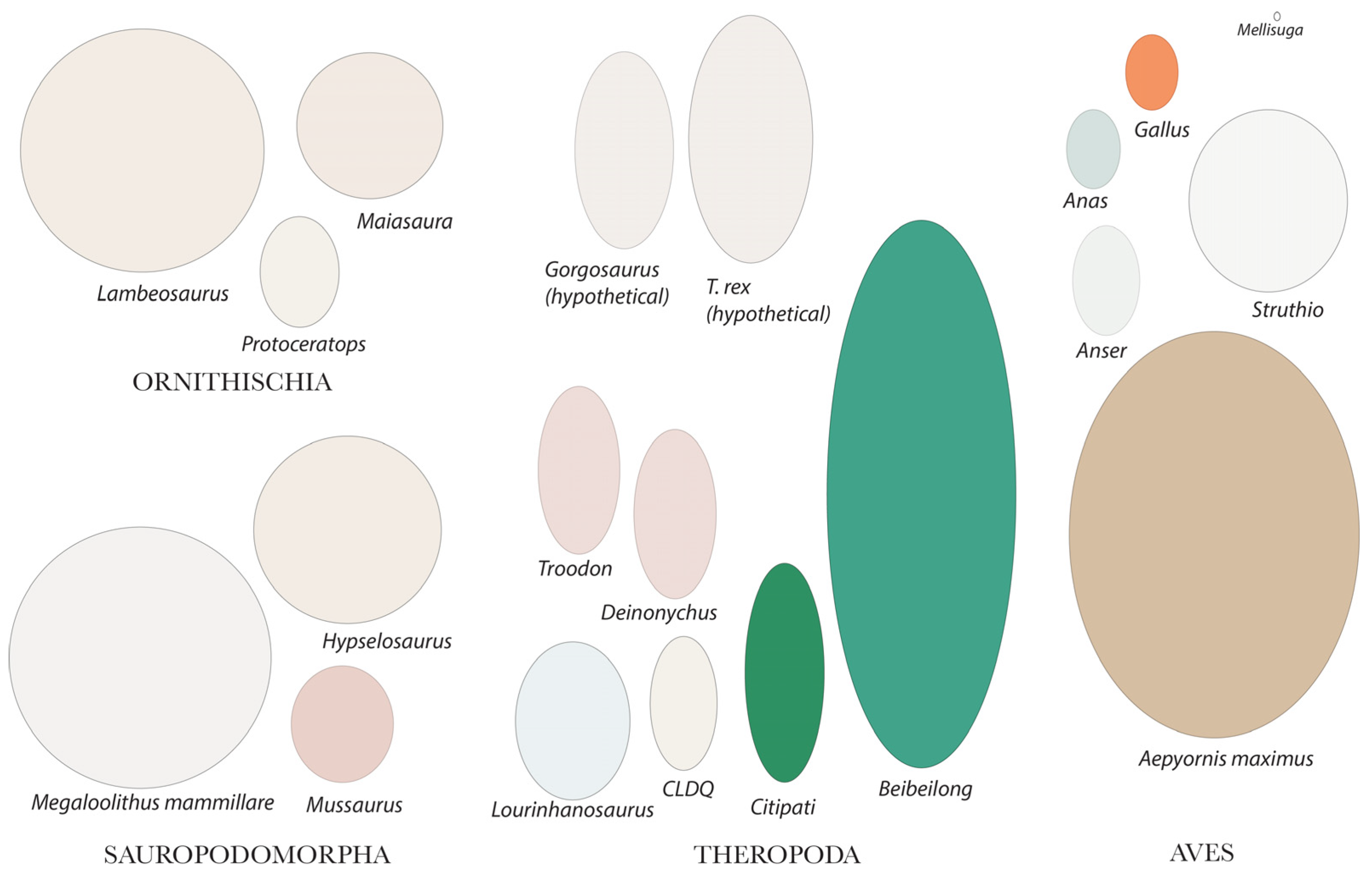 Biology 15 01090 g015