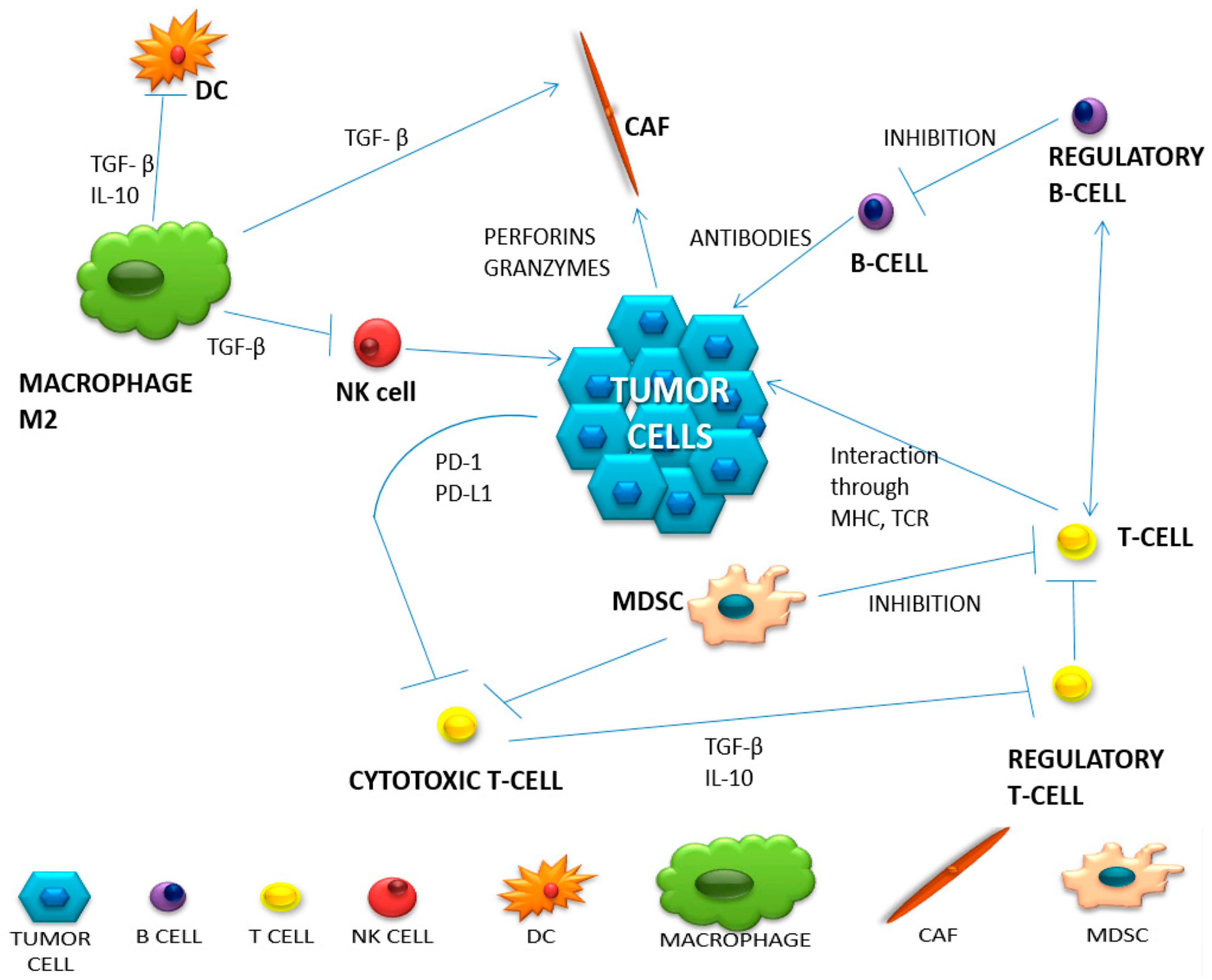 Biology 15 01550 g003