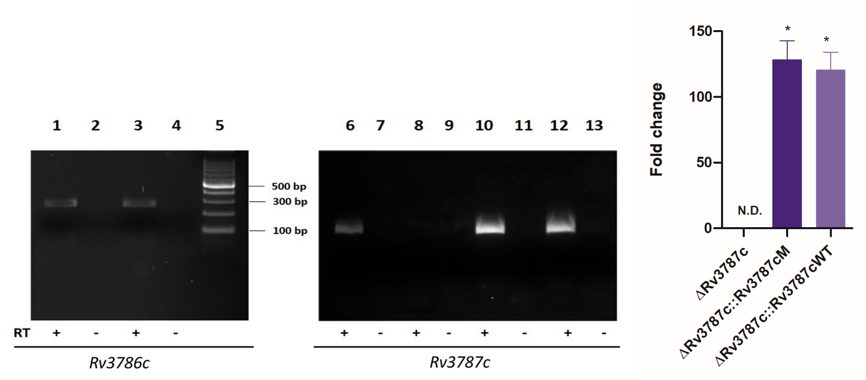 Biology 15 01666 g001