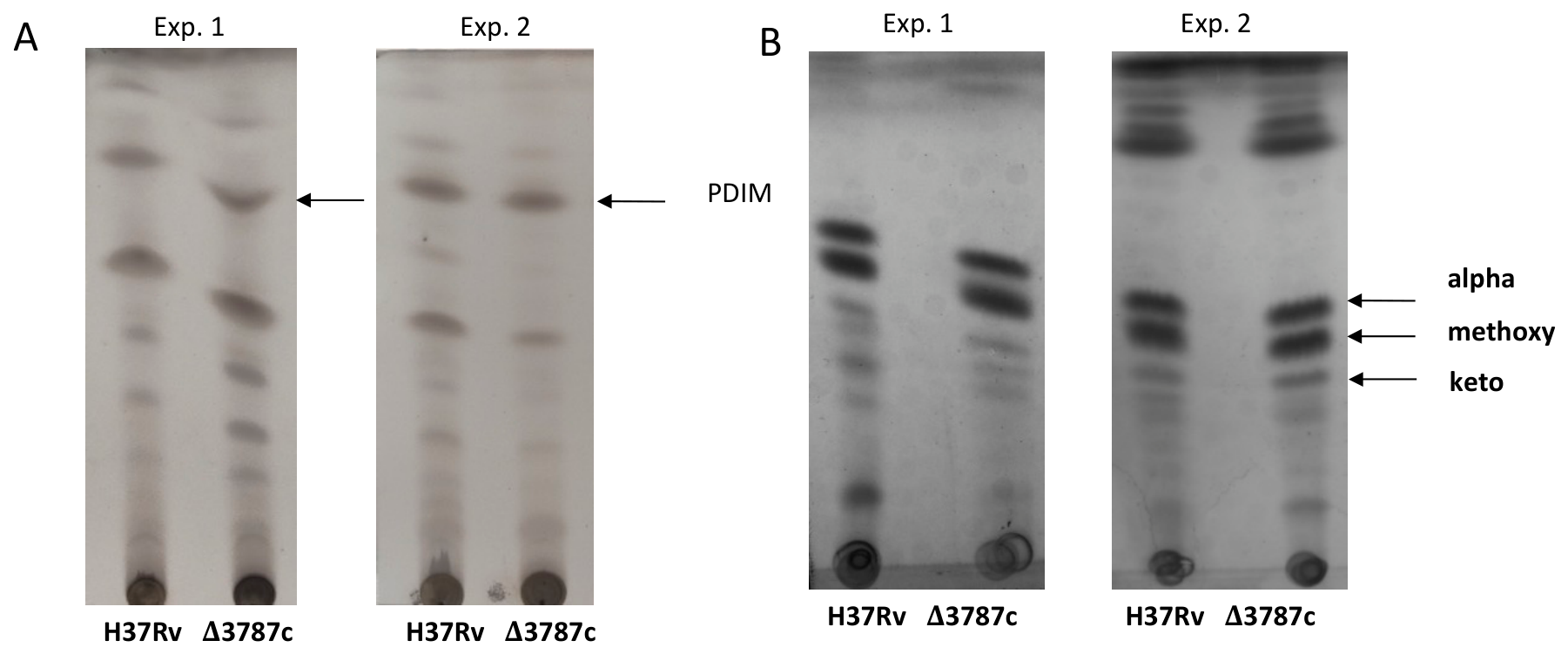 Biology 15 01666 g002