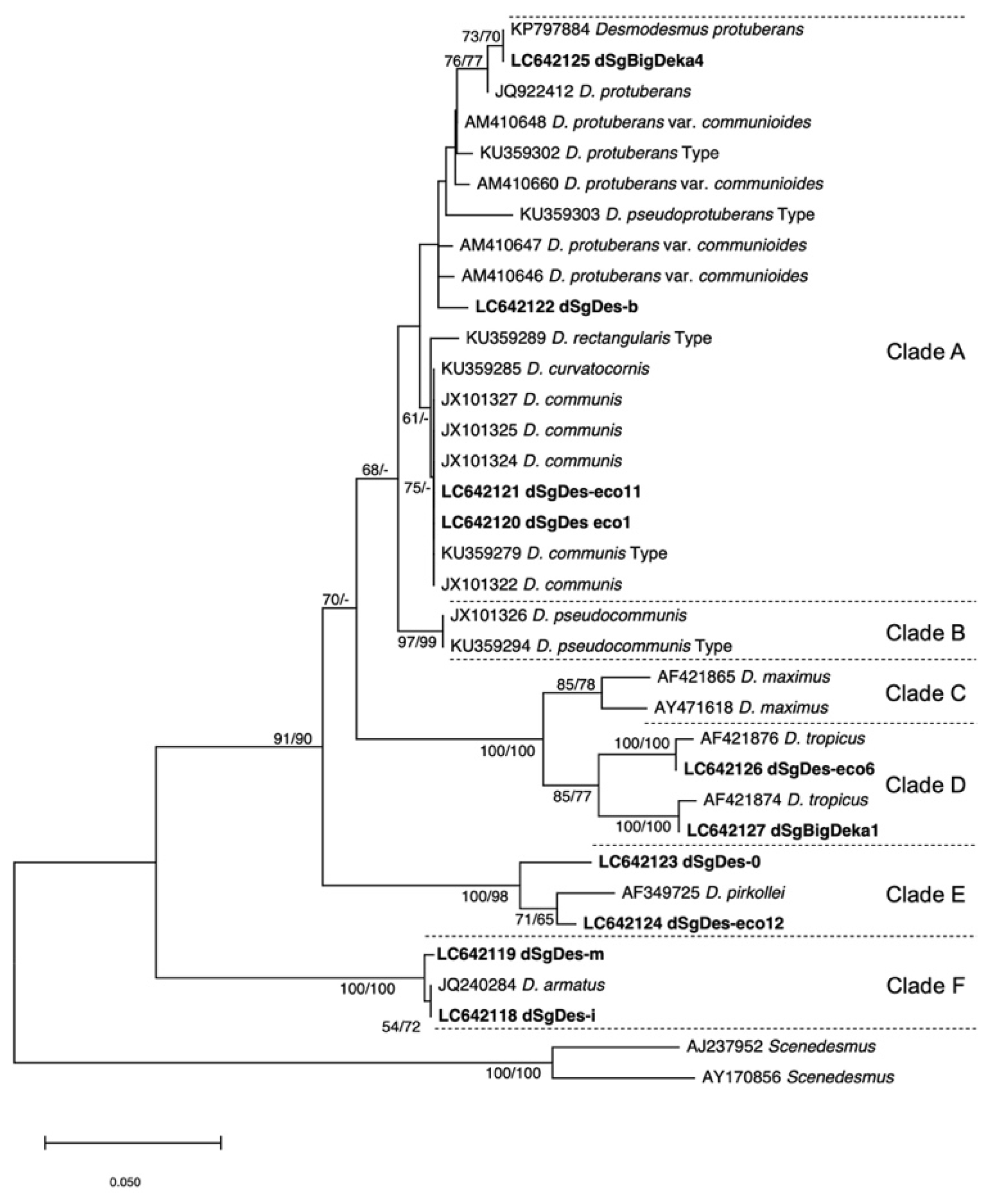 Biomass 01 00008 g005