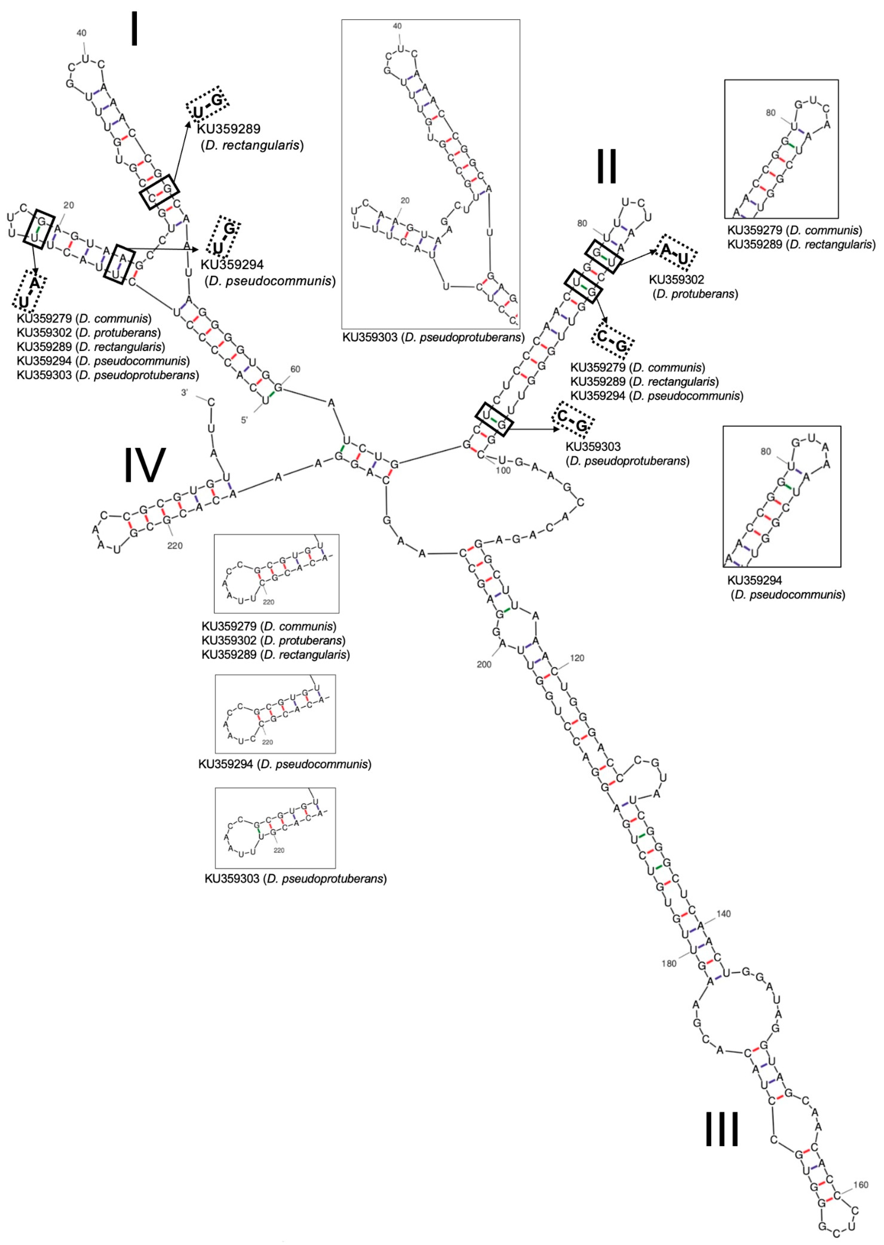 Biomass 01 00008 g006