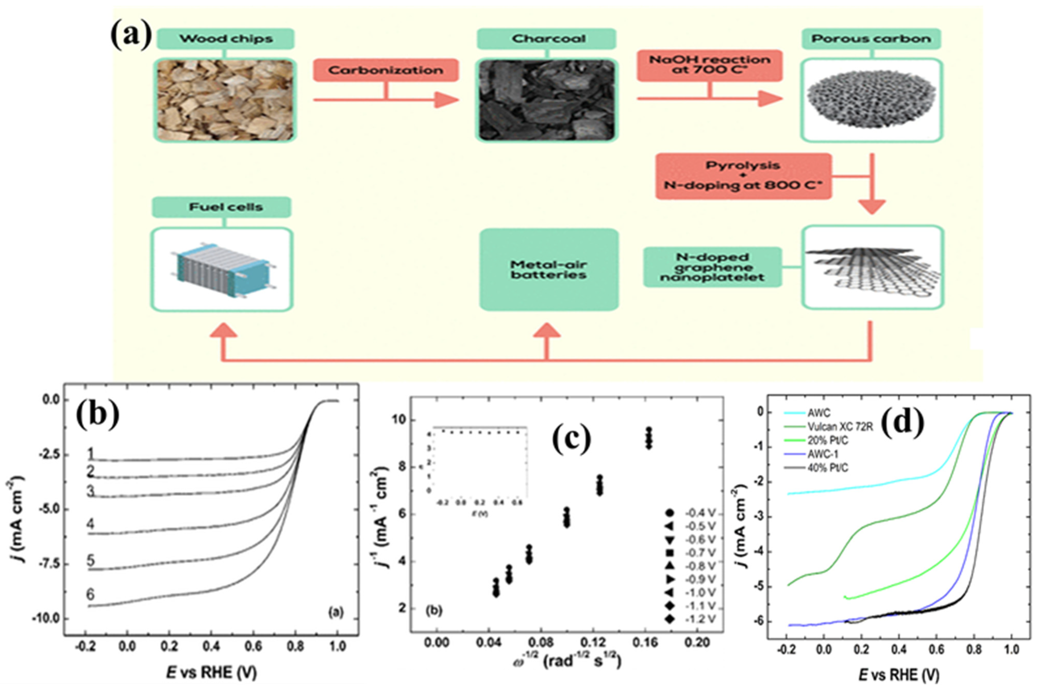 Biomass 02 00010 g011 Biomass 02 00010 g011