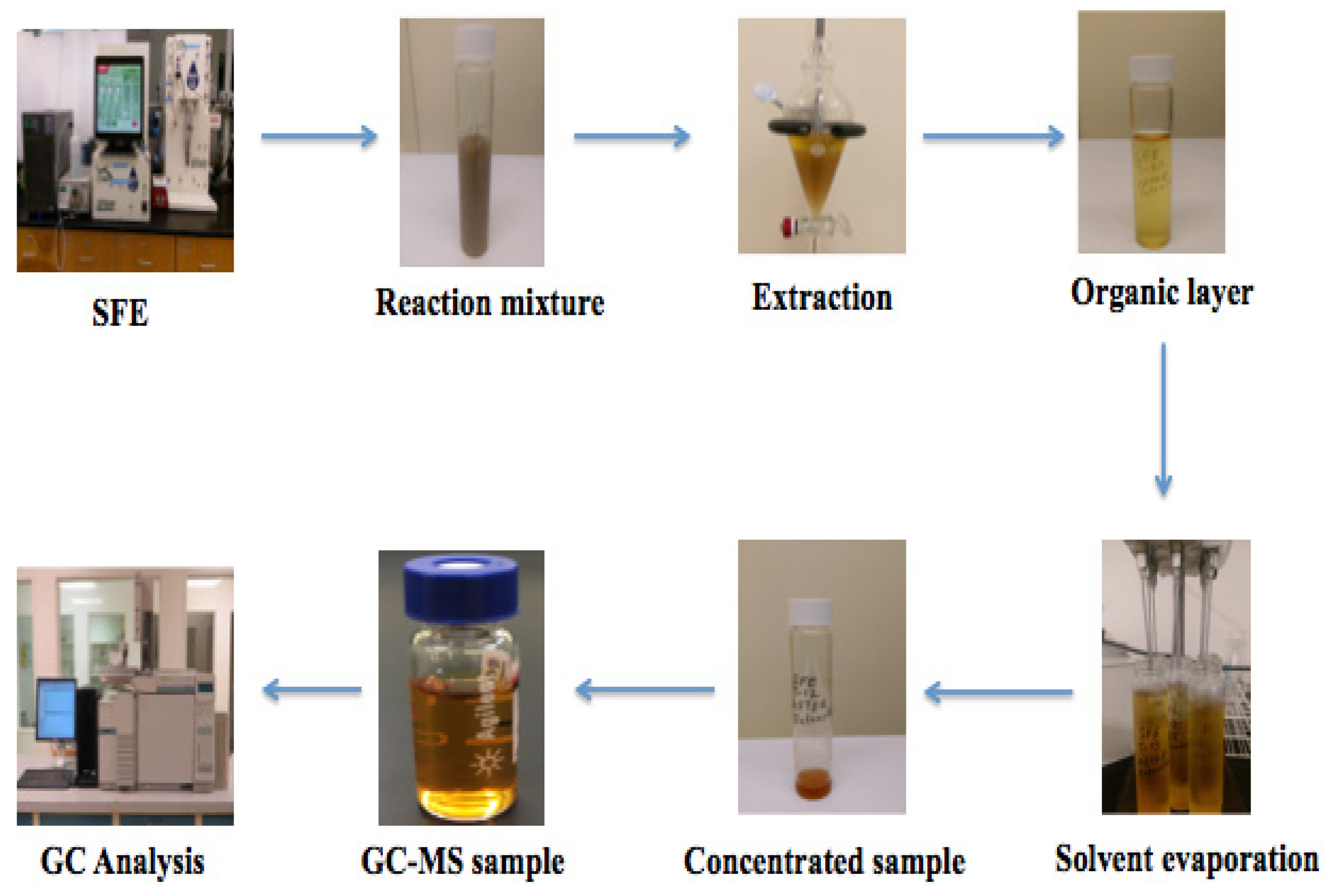 Biomass 02 00011 g002