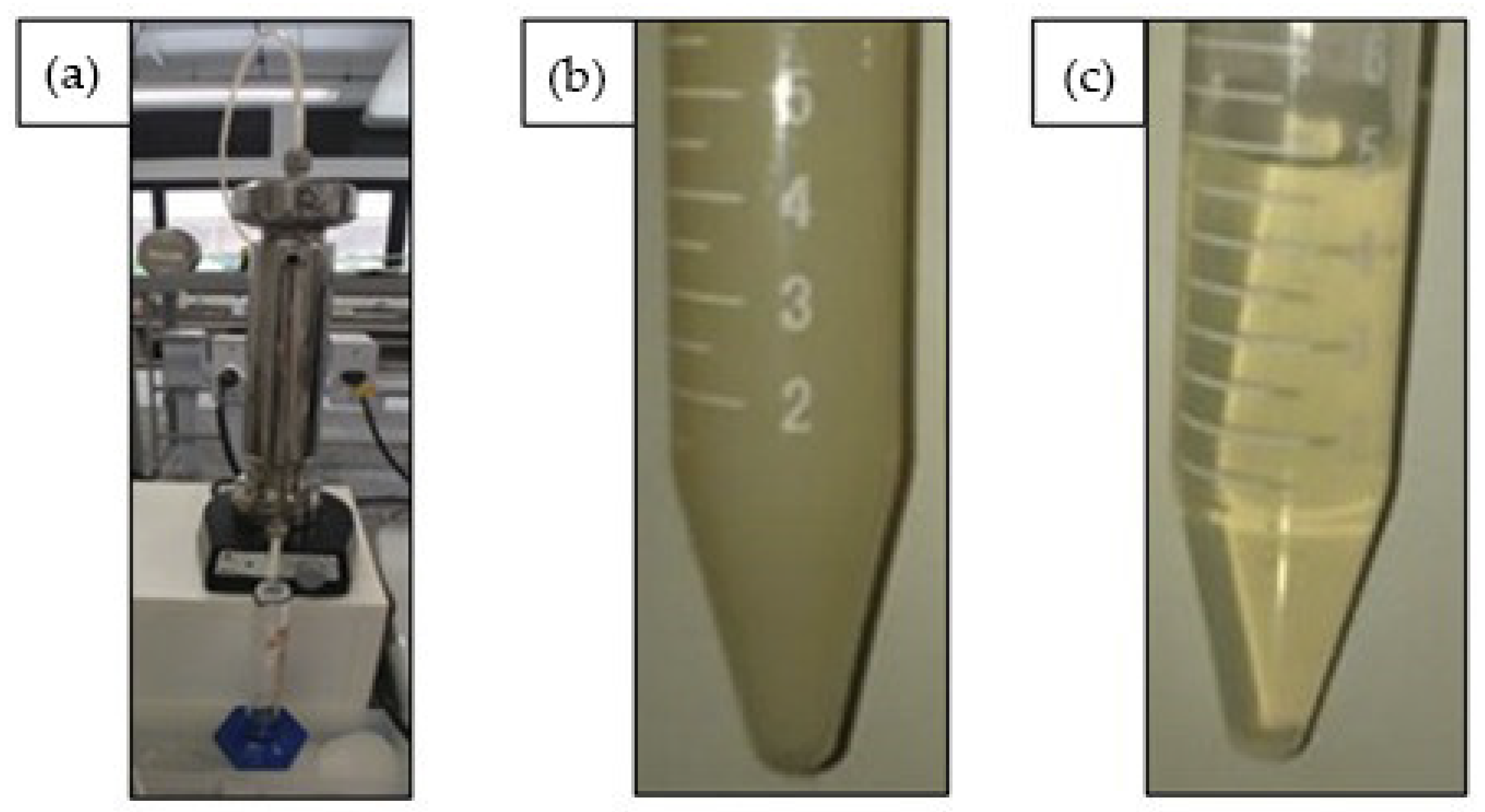 Biomass 02 00016 g004