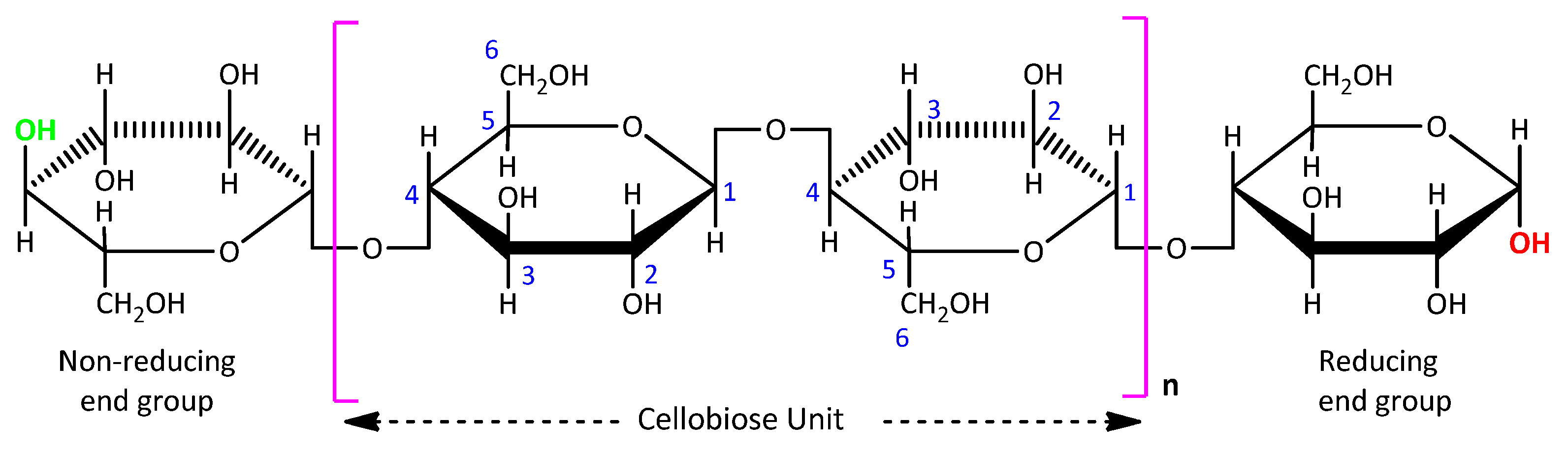 Biomass 02 00021 g001