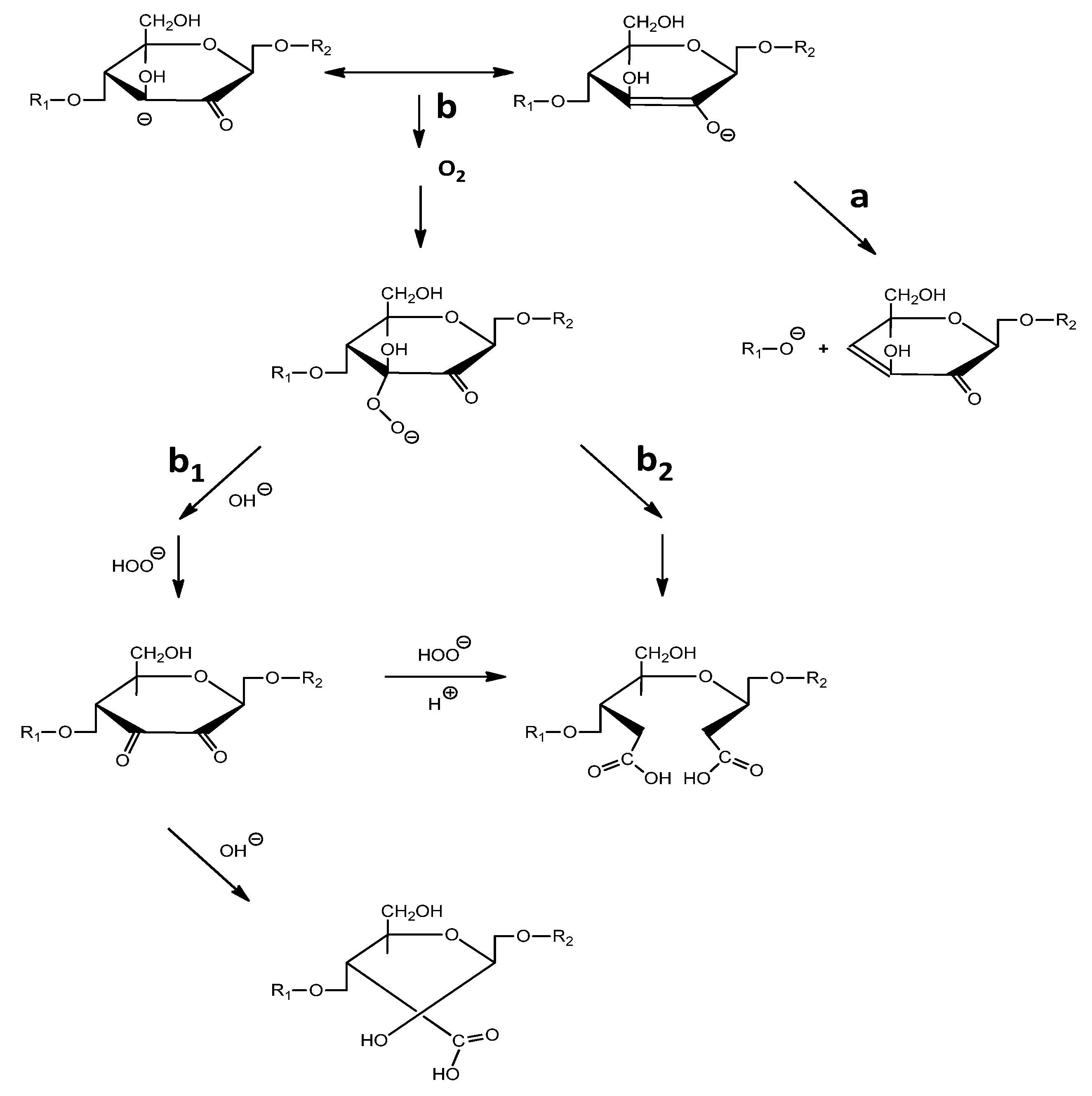 Biomass 02 00021 g002