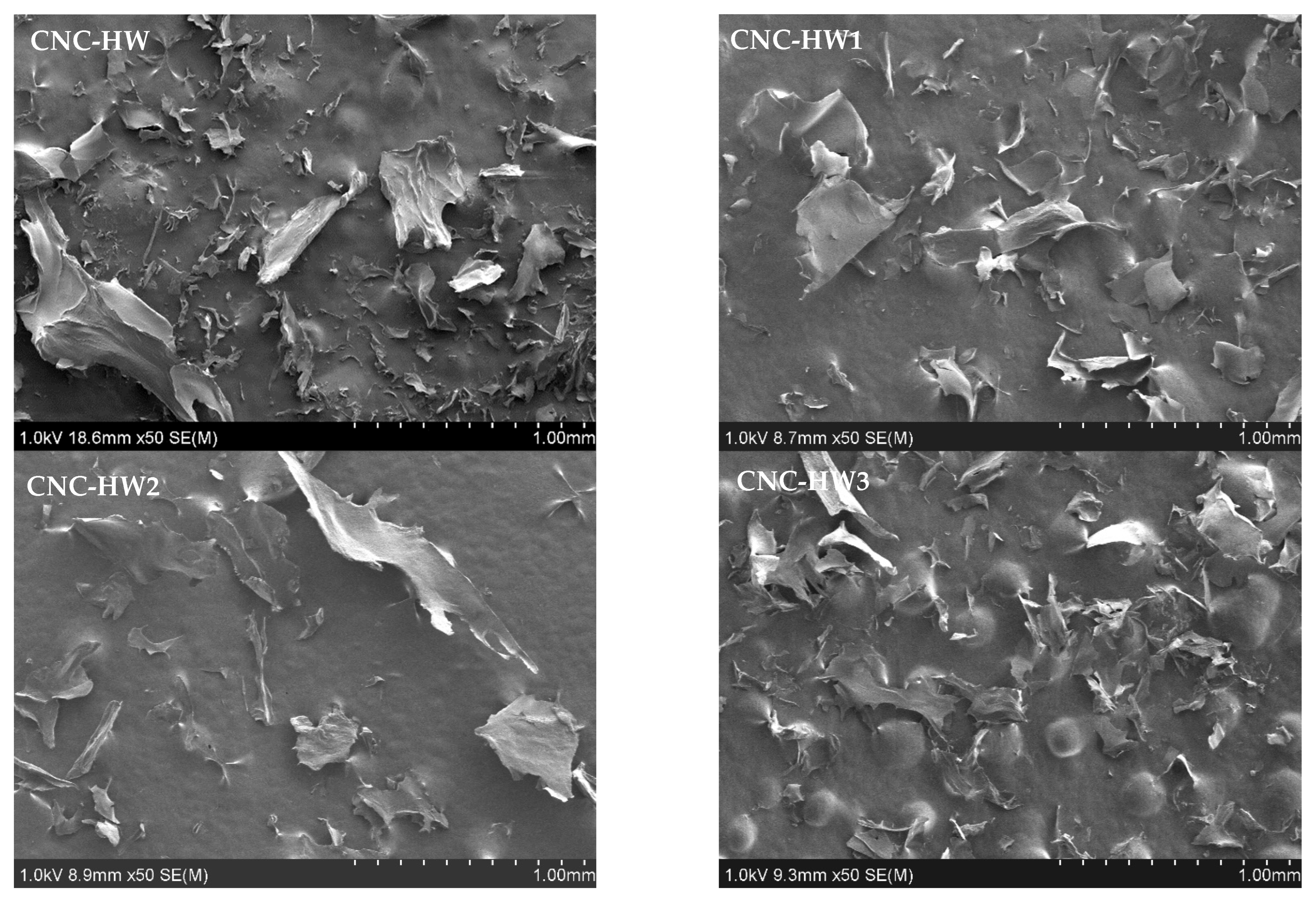 Biomass 02 00021 g013