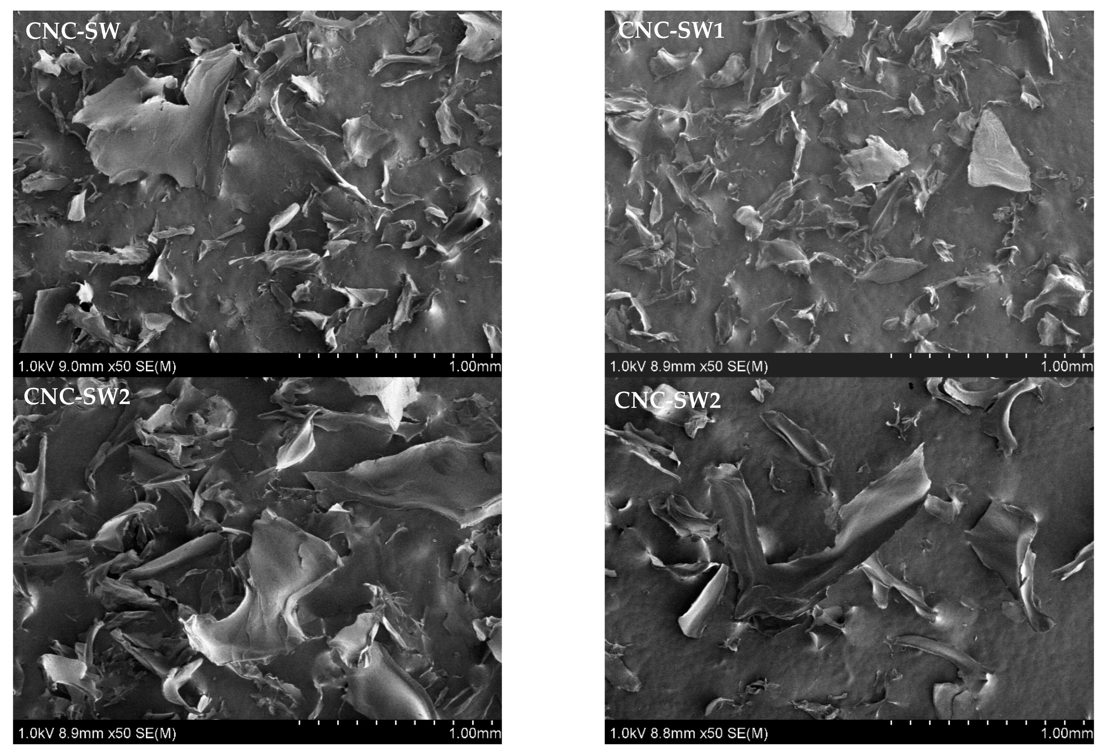 Biomass 02 00021 g014