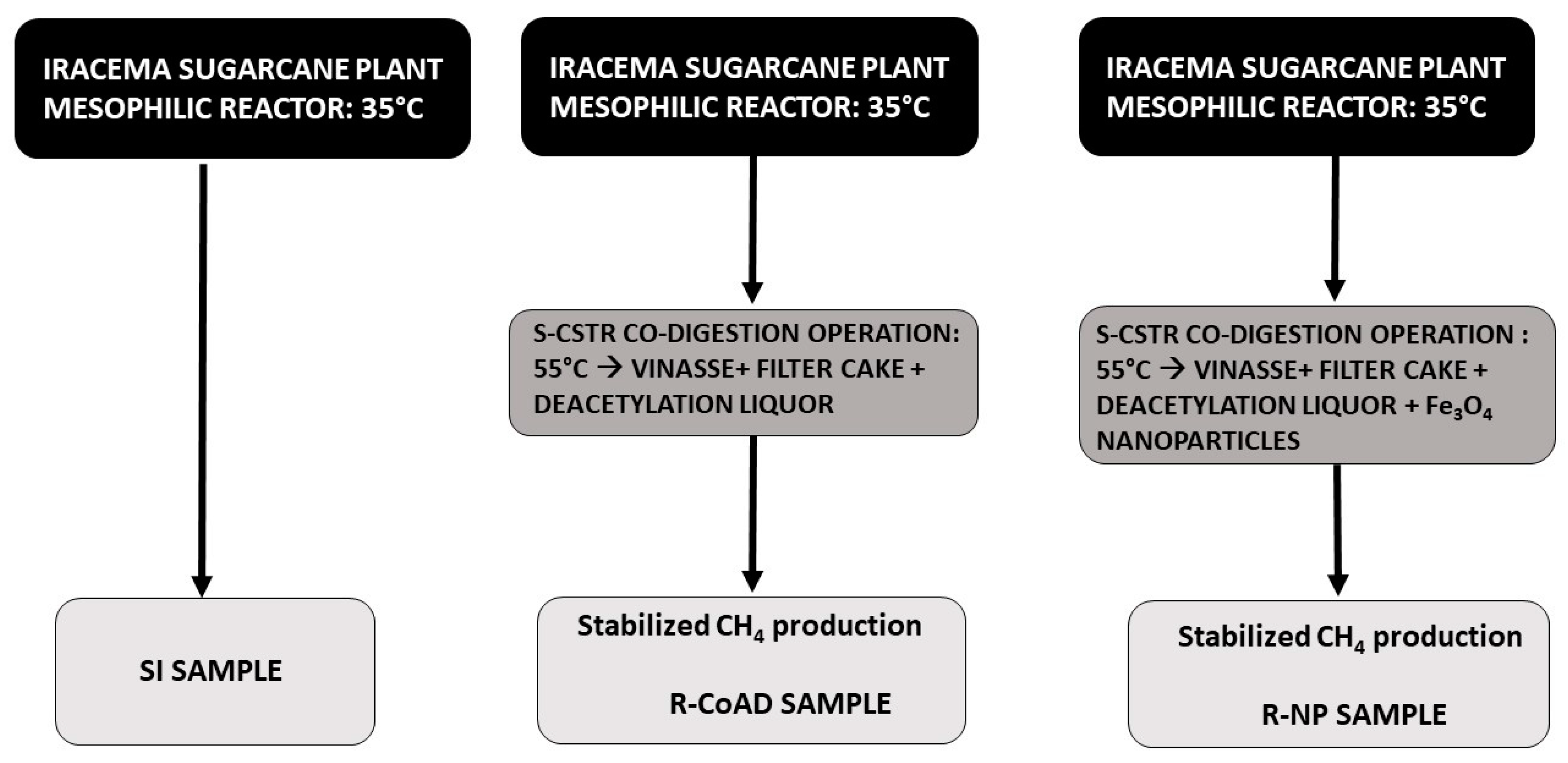 Biomass 02 00024 g001
