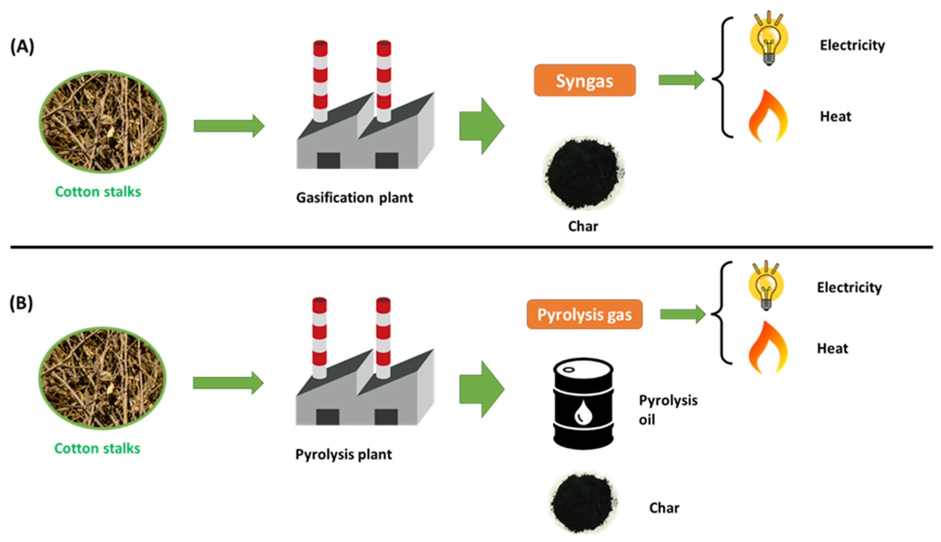 Biomass 04 00002 g001