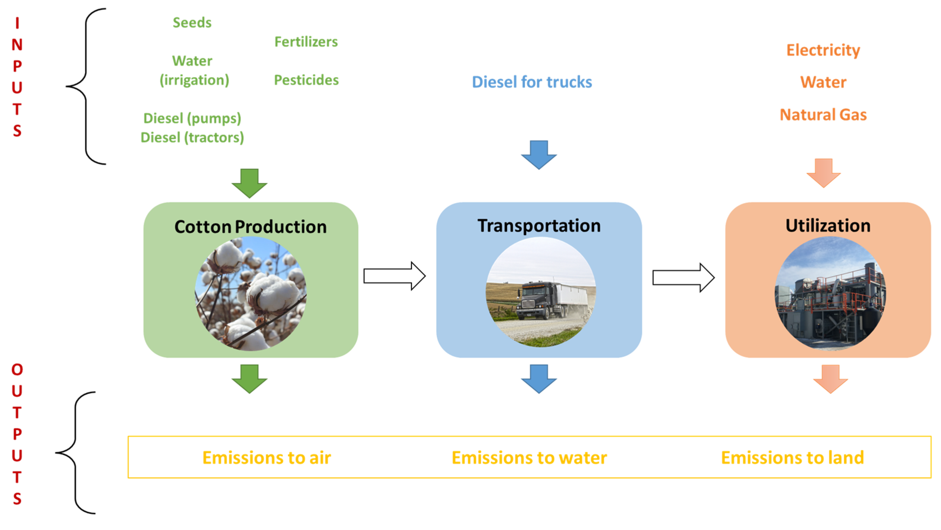 Biomass 04 00002 g006