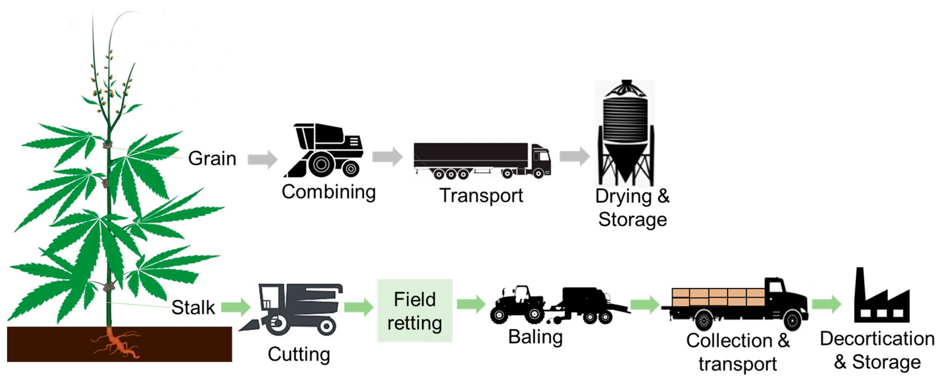Biomass 04 00008 g001 Biomass 04 00008 g001