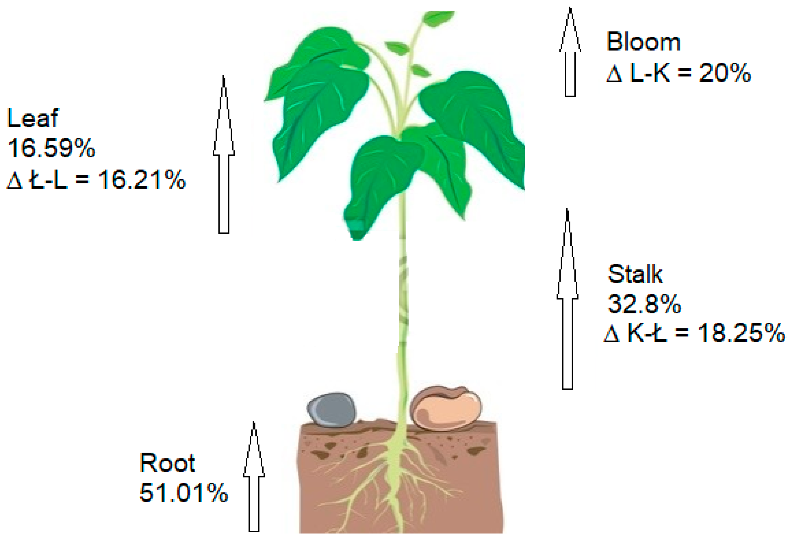 Biomass 04 00013 g006