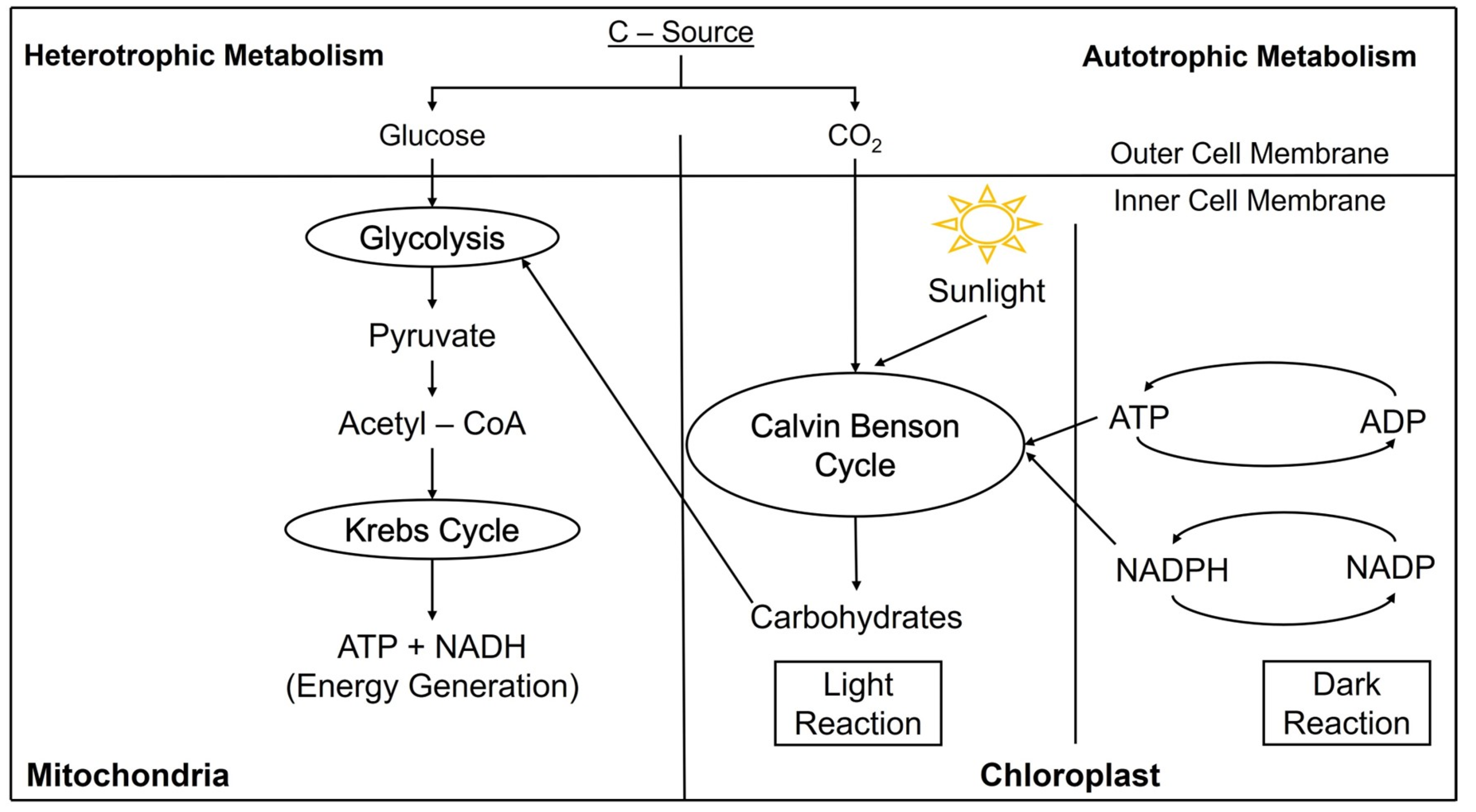 Biomass 04 00016 g002
