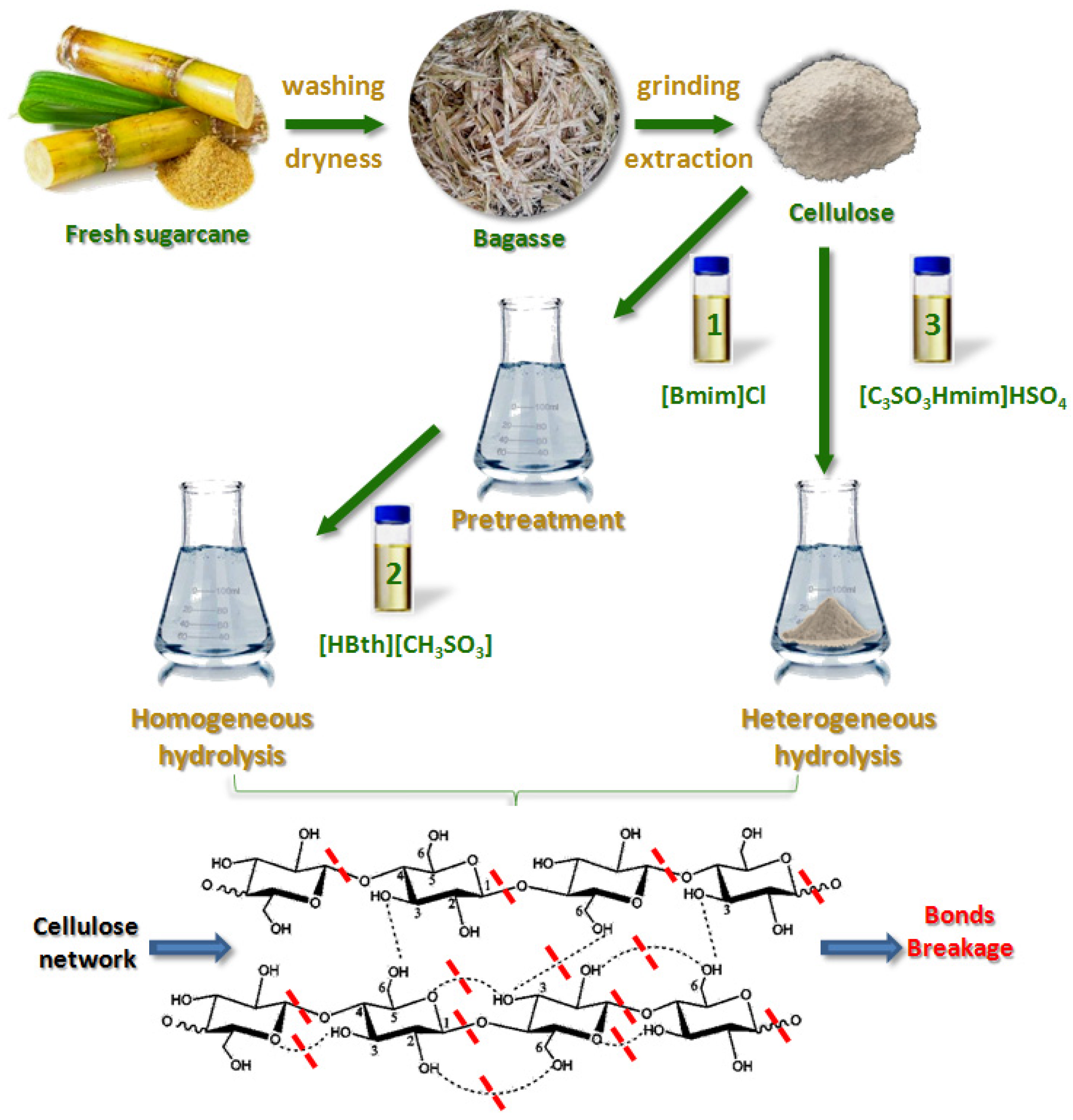 Biomass 04 00049 g002