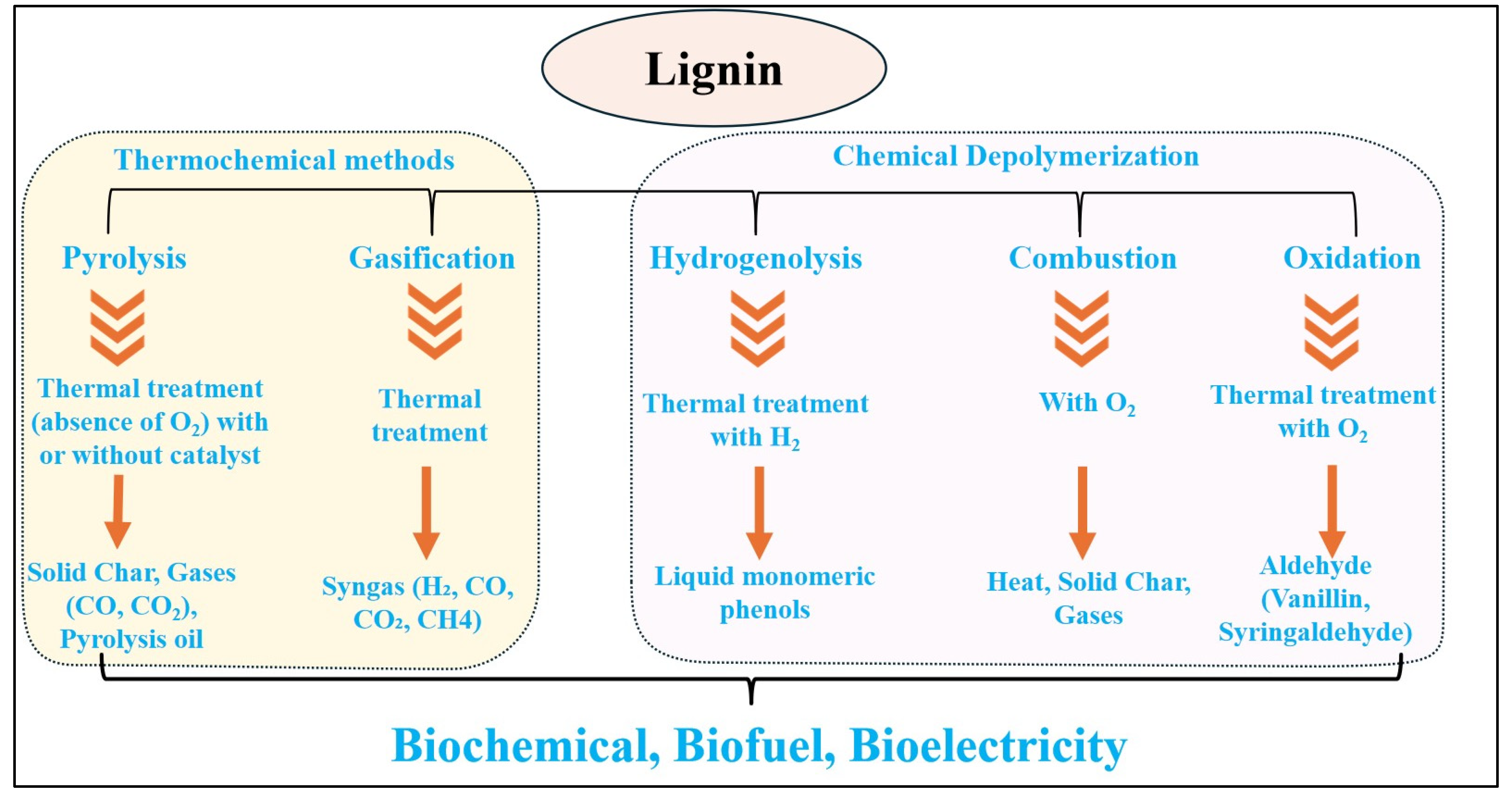Biomass 04 00053 g005 Biomass 04 00053 g005