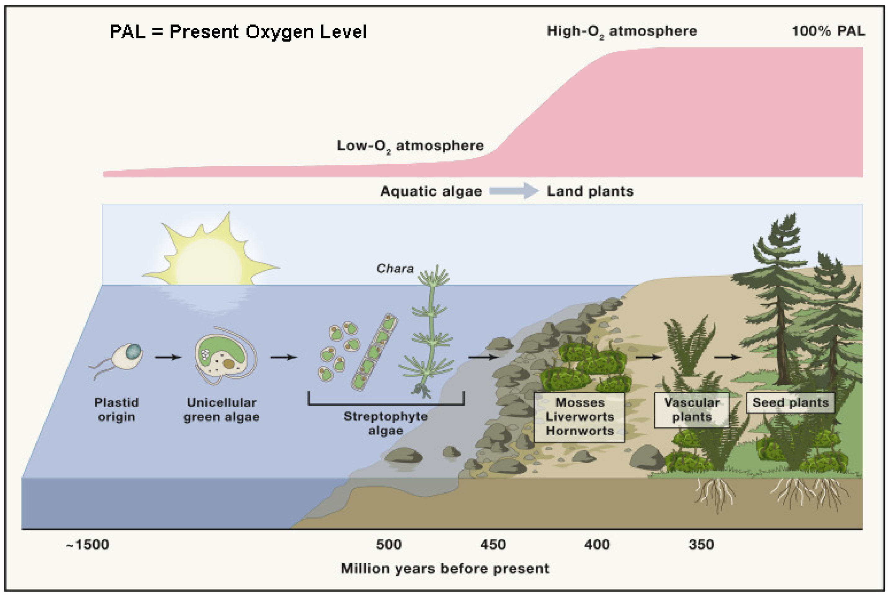 Biomass 04 00070 g001 Biomass 04 00070 g001