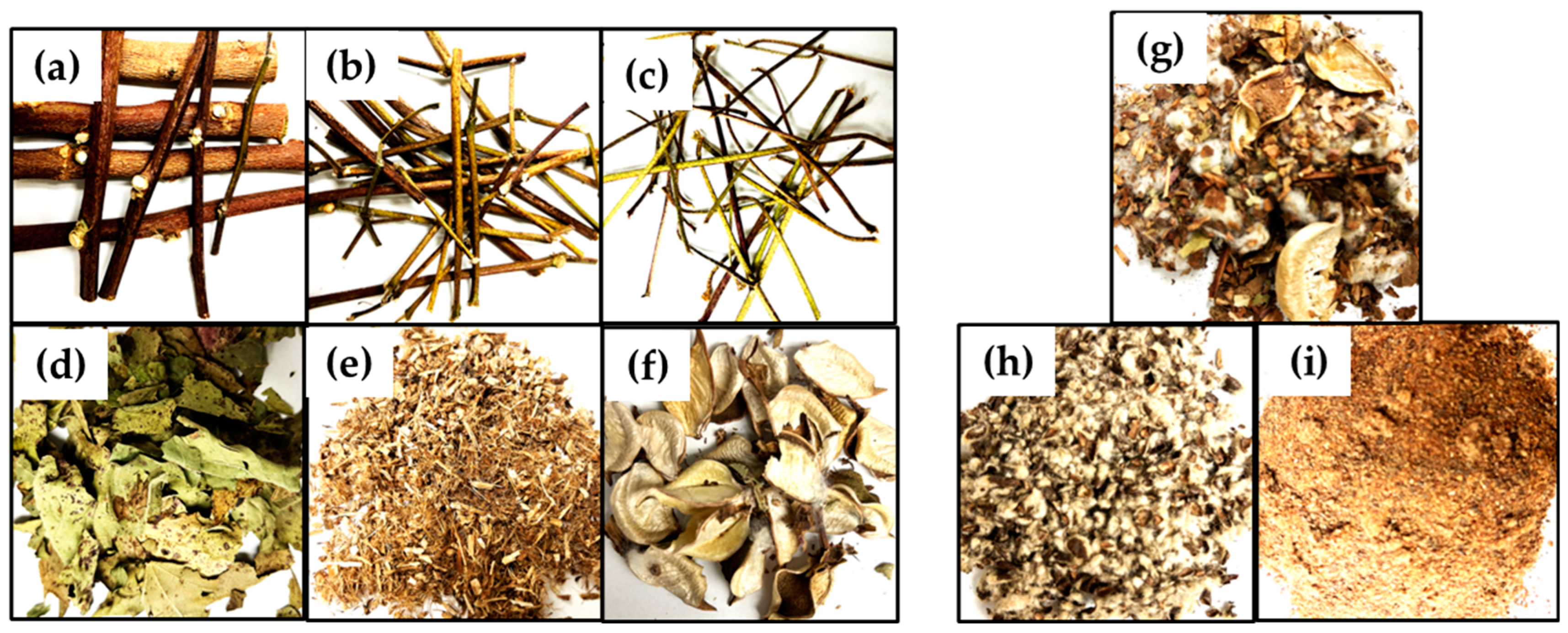 Biomass 05 00012 g001