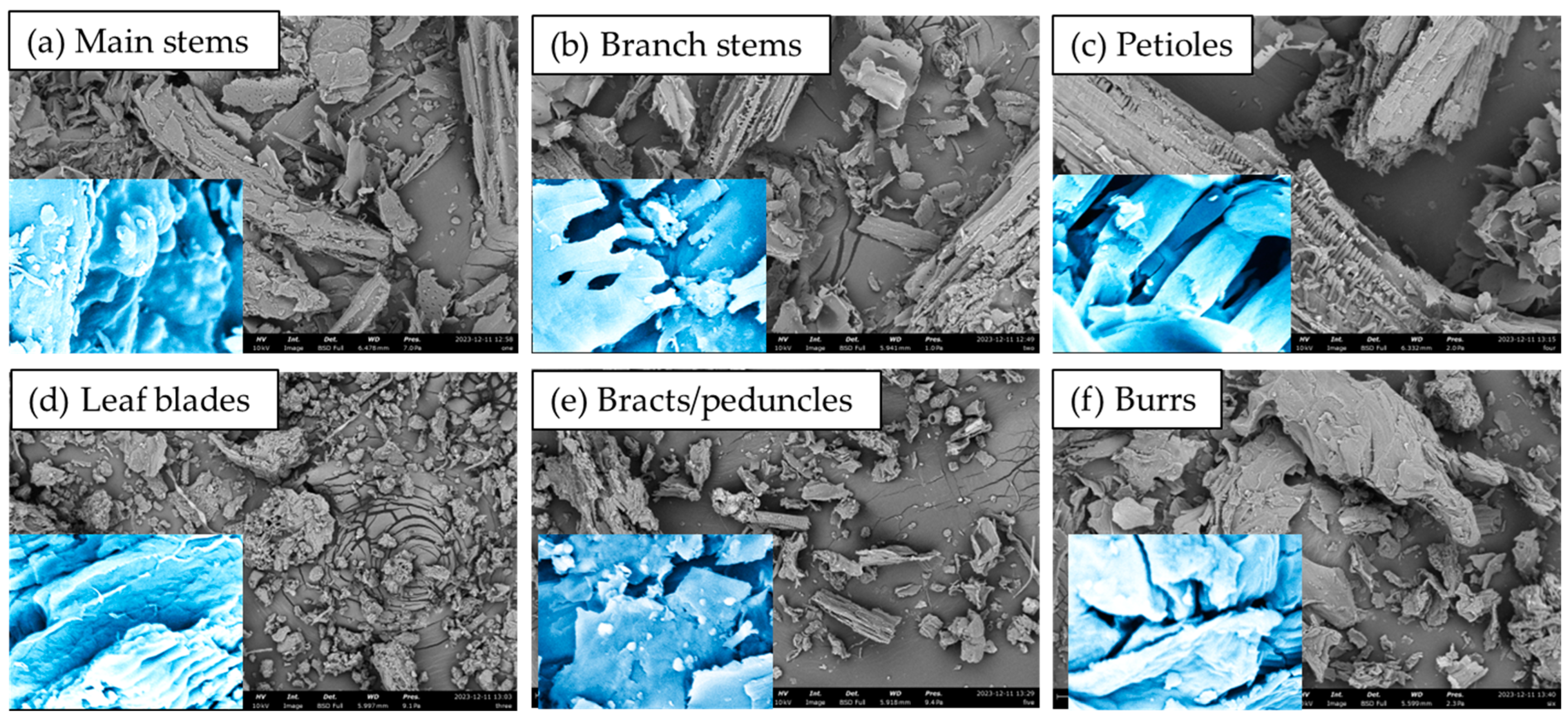 Biomass 05 00012 g002