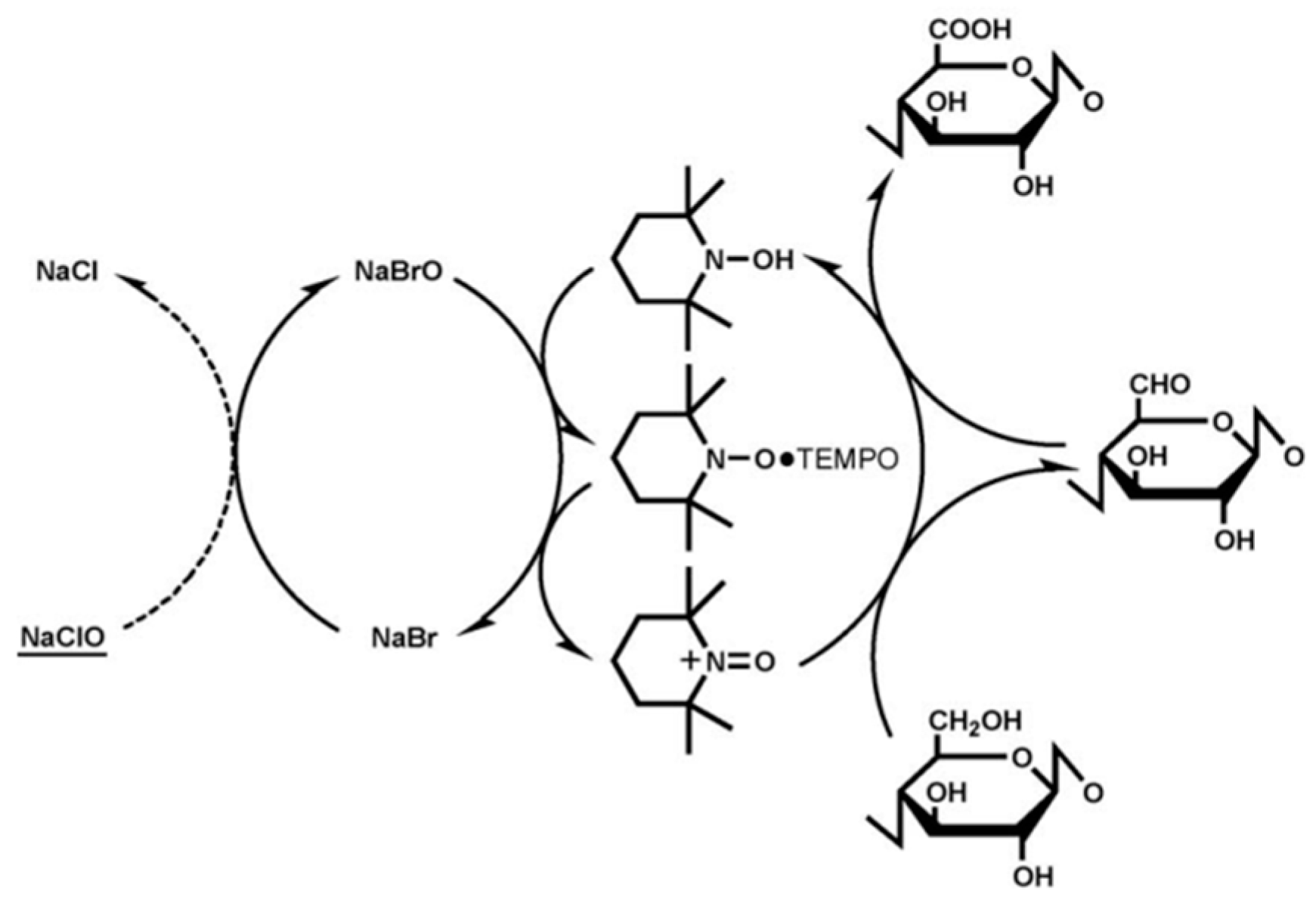 Biomass 05 00022 g002