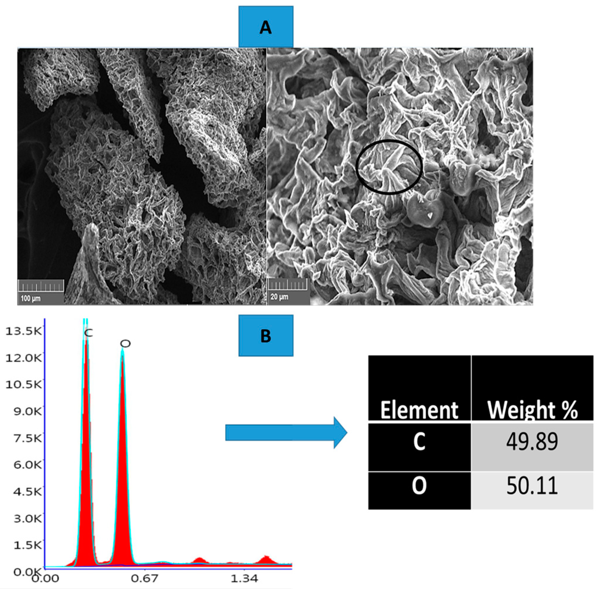 Biomass 05 00022 g005