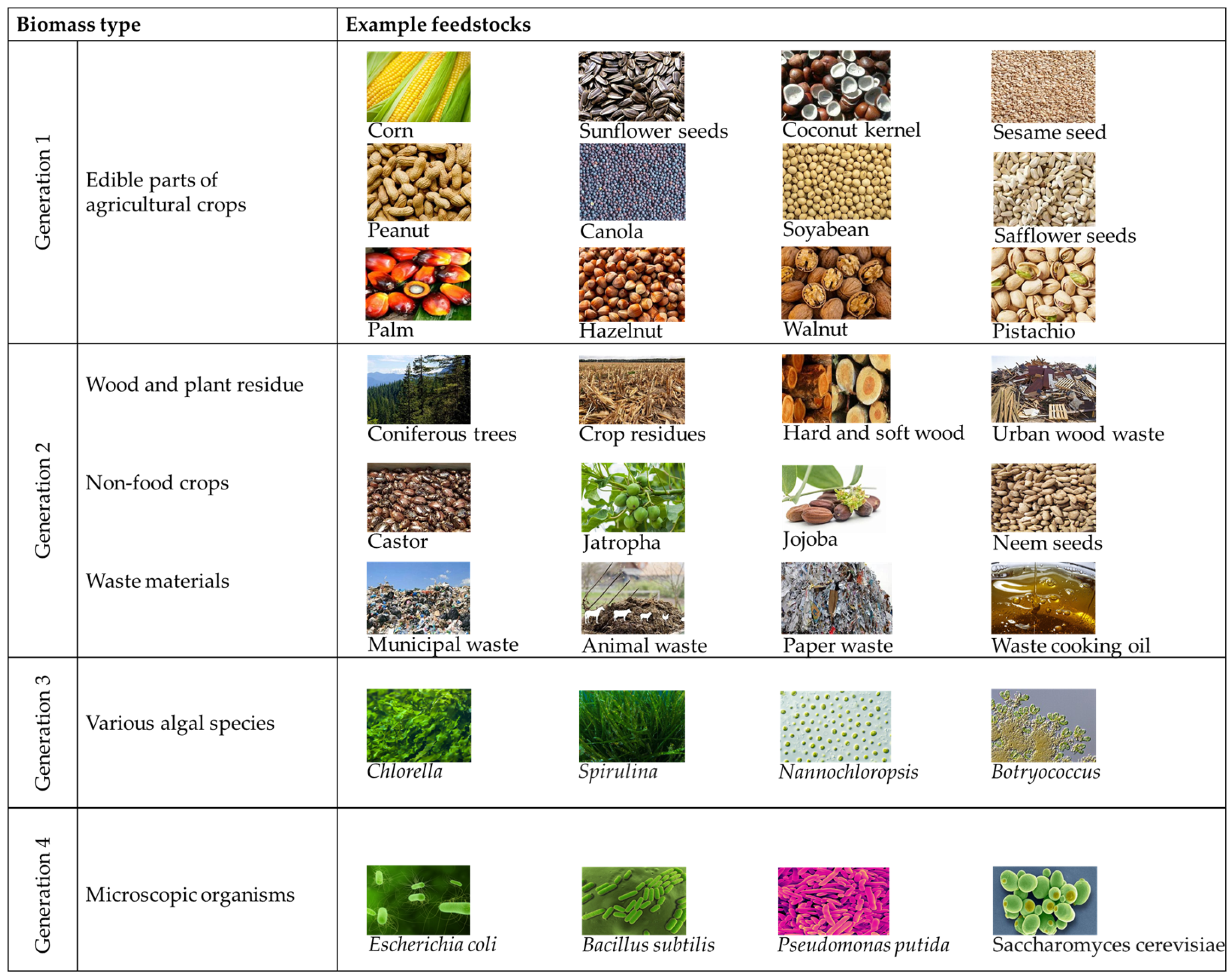 Biomass 05 00026 g001 Biomass 05 00026 g001