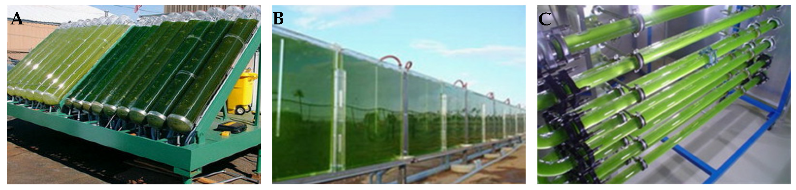 Biomass 05 00026 g003 Biomass 05 00026 g003