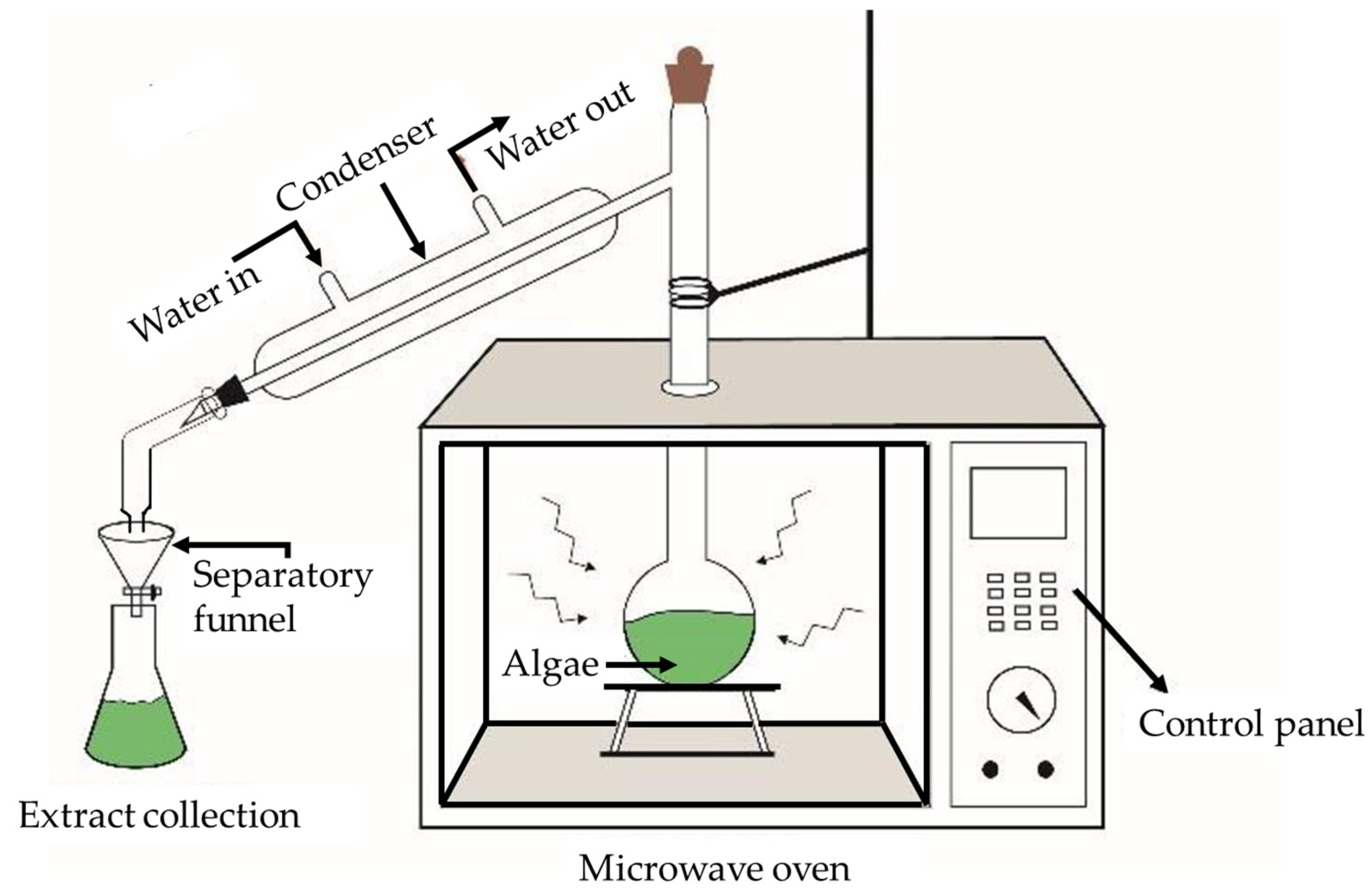 Biomass 05 00026 g005 Biomass 05 00026 g005