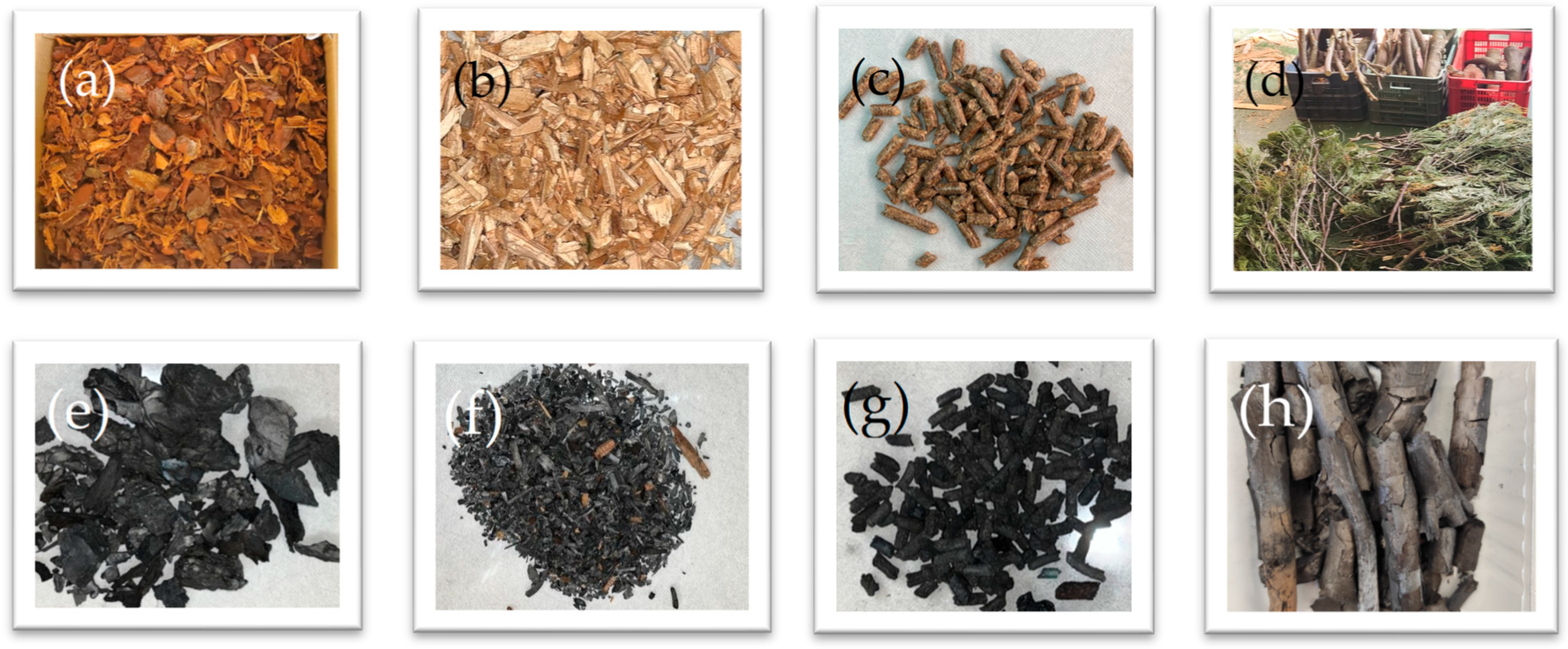 Biomass 05 00044 g001 Biomass 05 00044 g001
