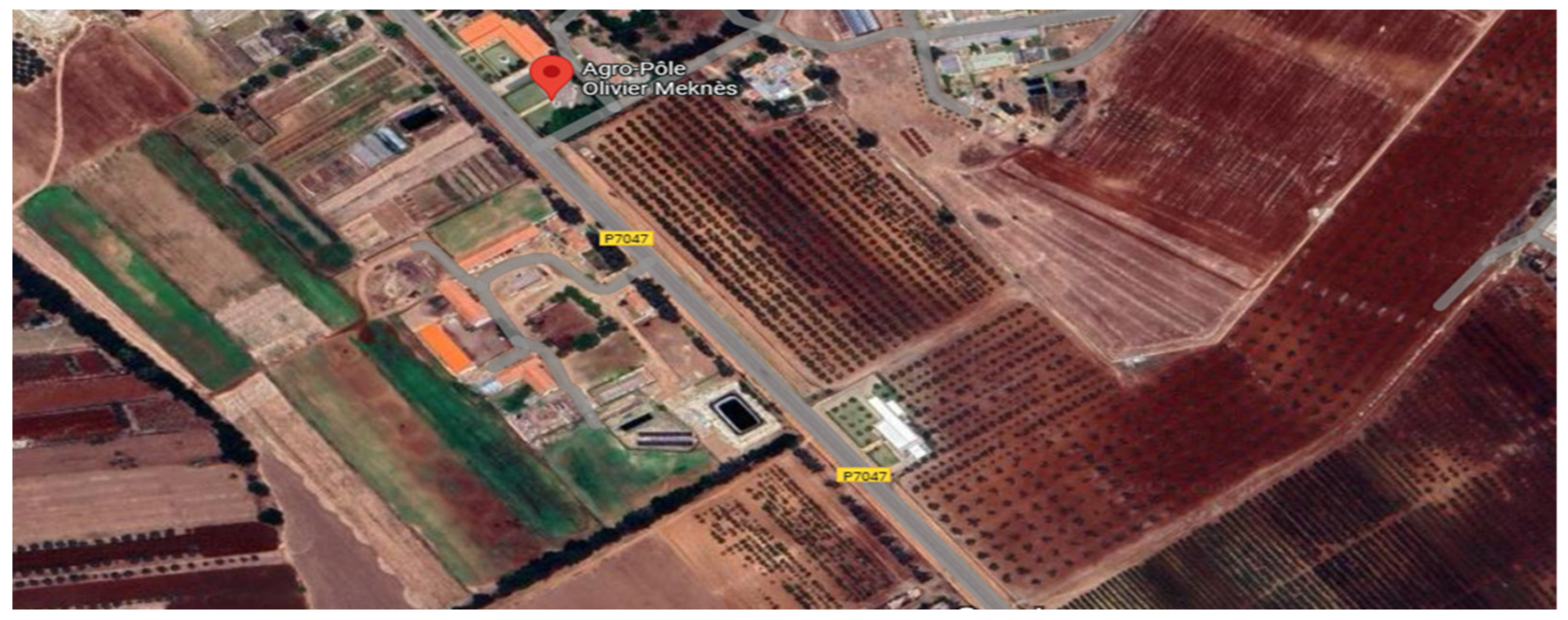 Biomass 05 00069 g001