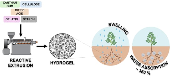 Esterification (A), amide formation reaction (B) and esterification and amide formation in the same molecule (C). R1 = cellulose, starch, xanthan gum or gelatin. R2 = gelatin.