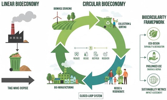 Circular economy models.