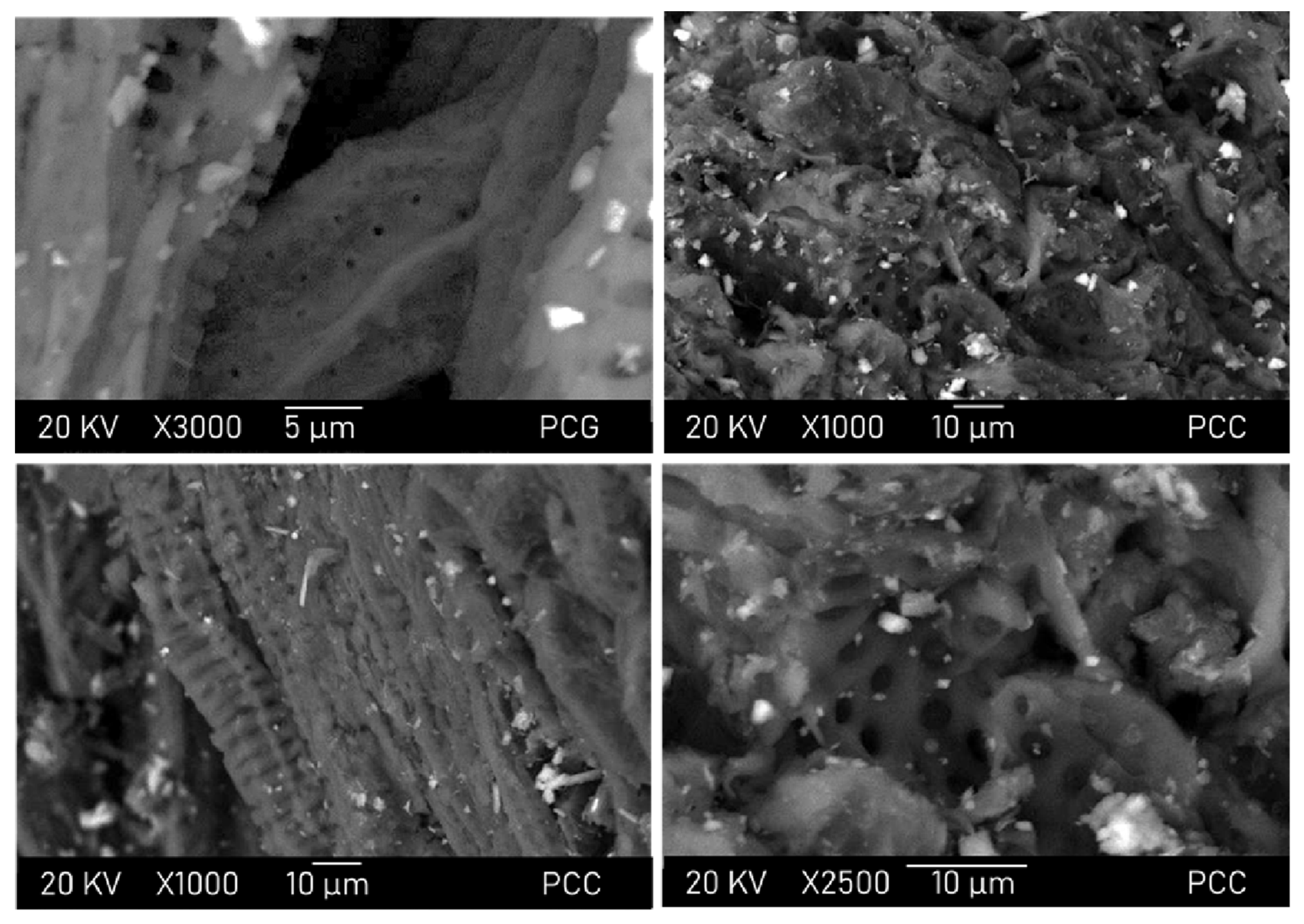 Biomass 06 00003 g002 Biomass 06 00003 g002