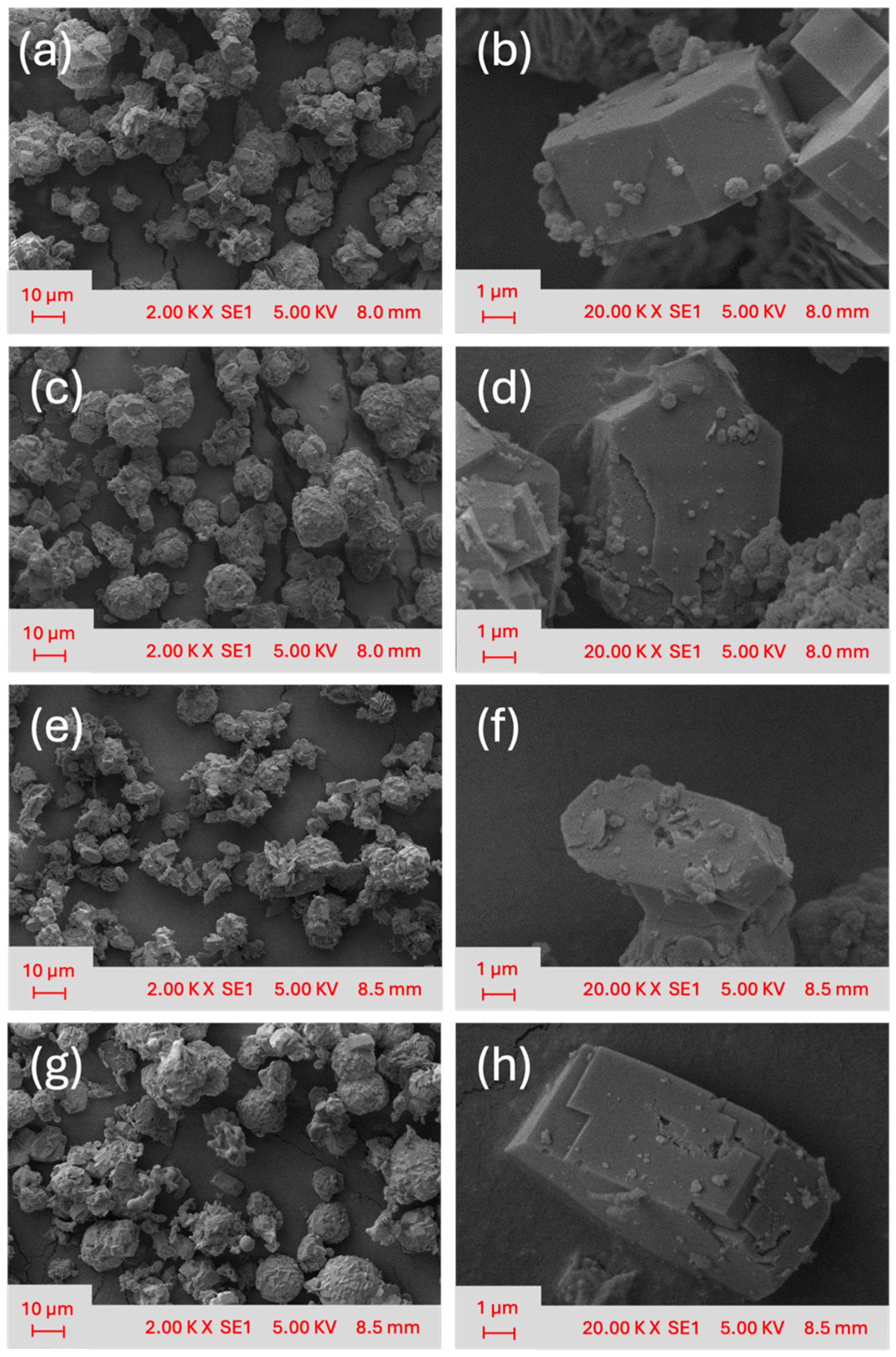 Biomass 06 00005 g006