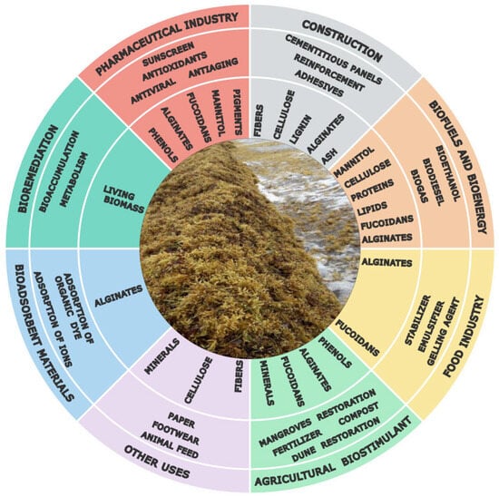 Biomass 06 00009 g002