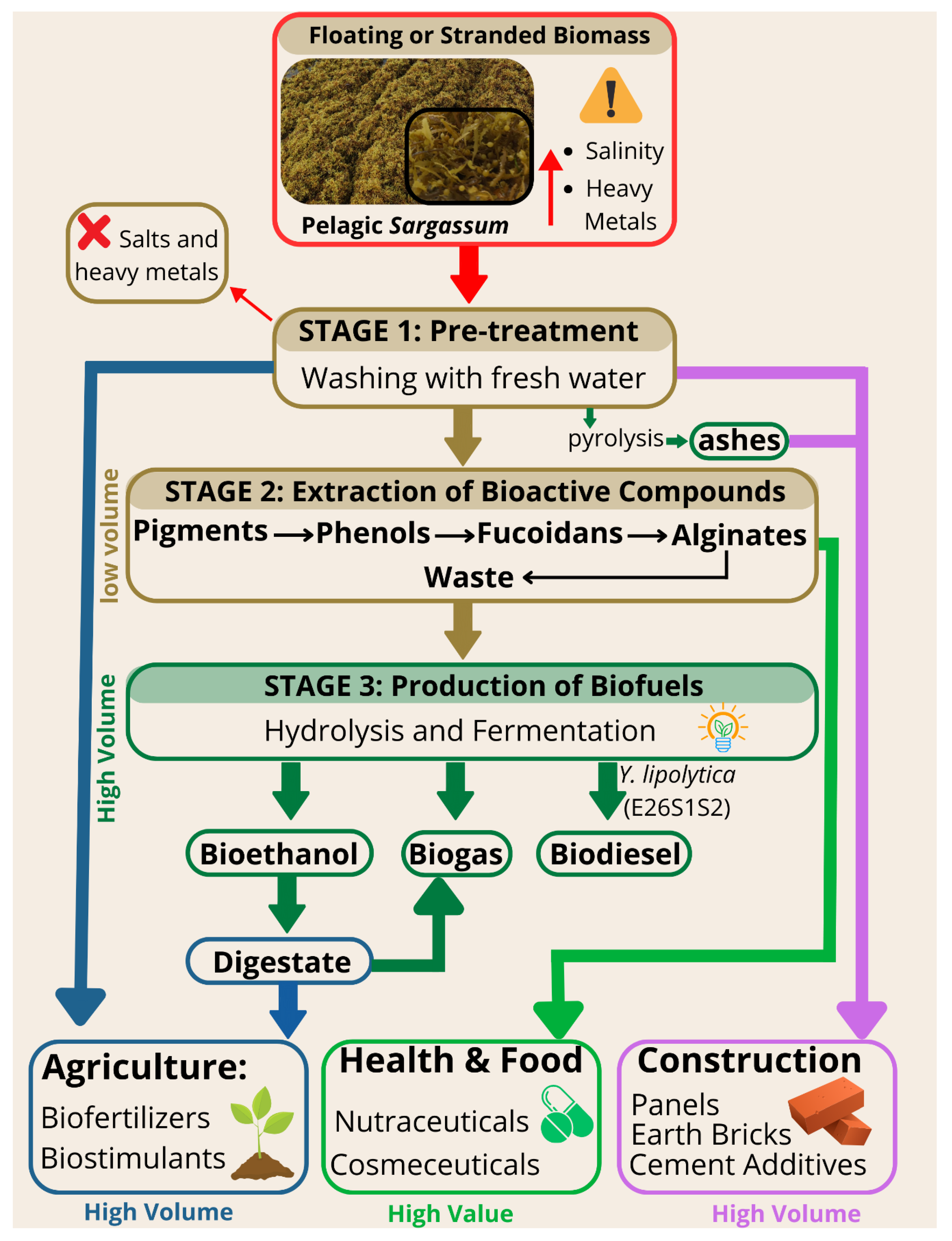 Biomass 06 00009 g003 Biomass 06 00009 g003