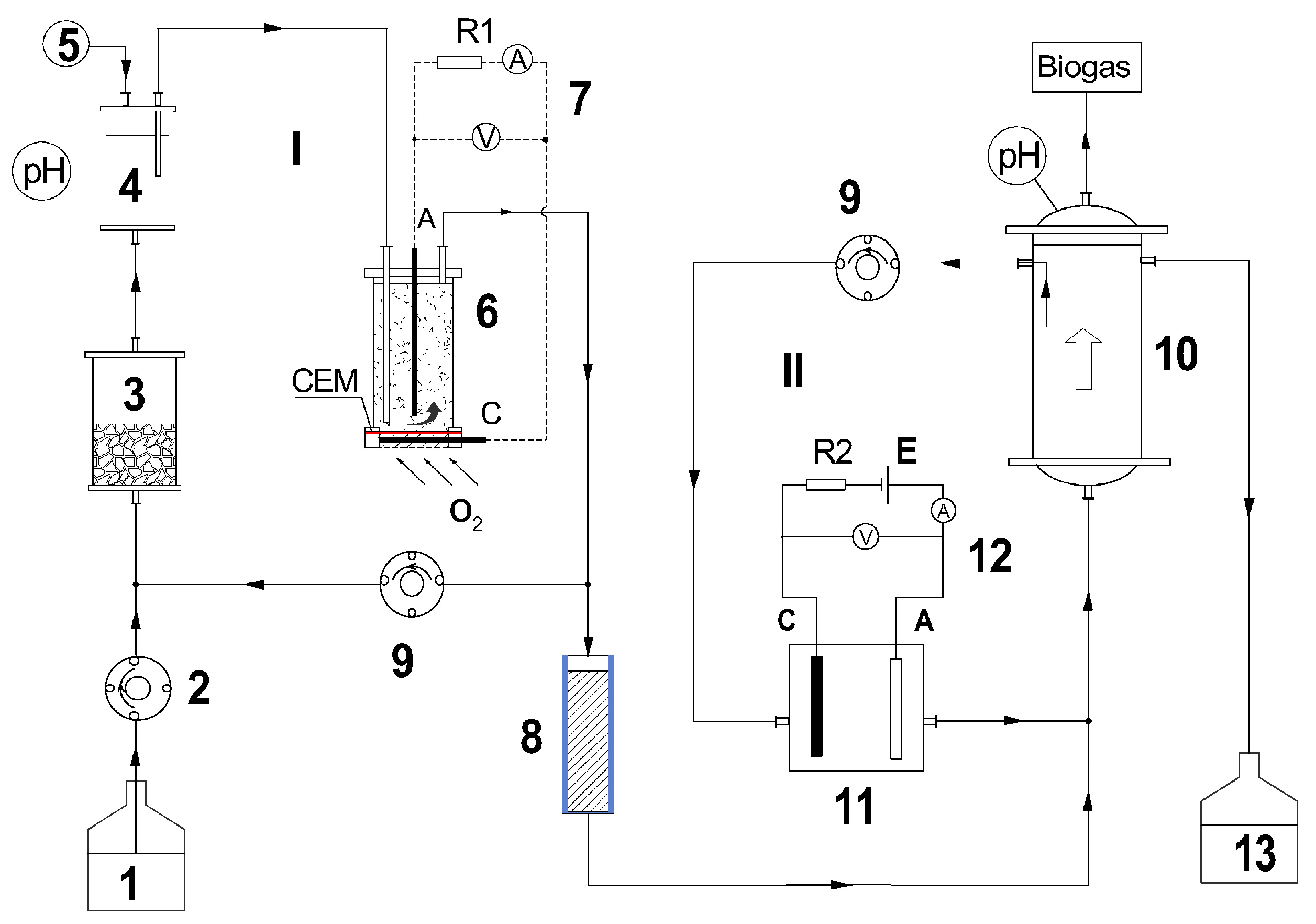 Biomass 06 00021 g001 Biomass 06 00021 g001