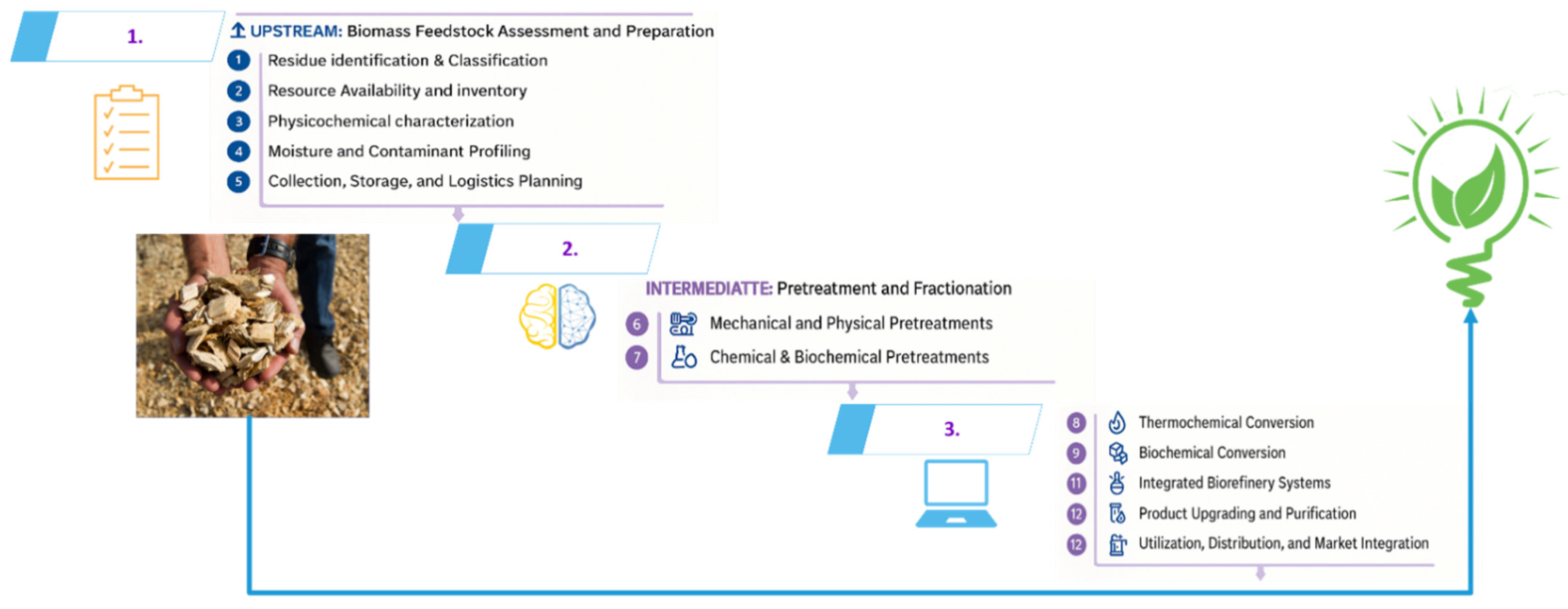 Biomass 06 00024 g004