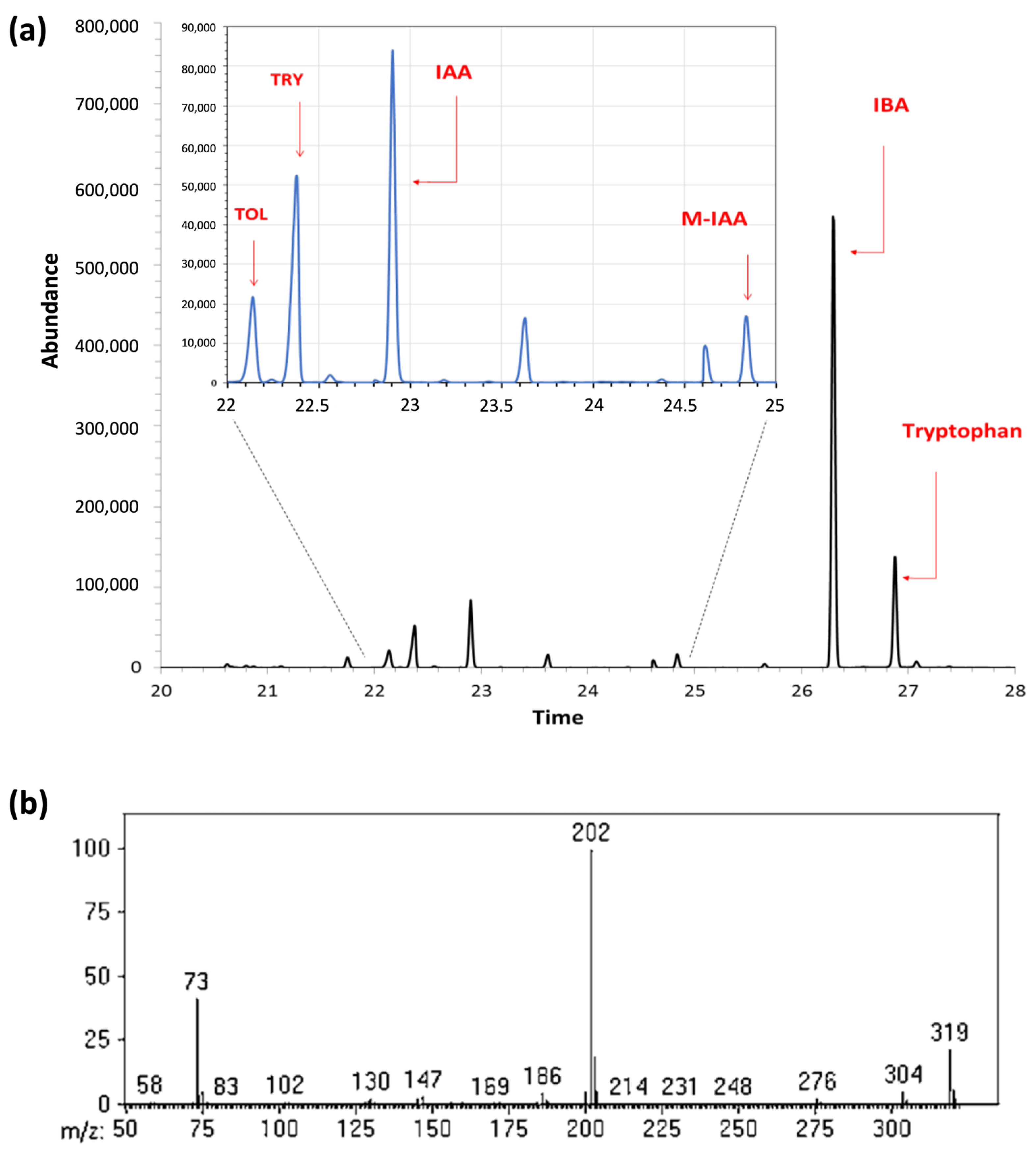 Biomass 06 00040 g002 Biomass 06 00040 g002