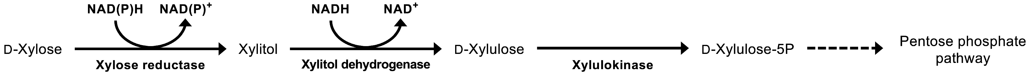 Biomass 06 00042 g003 Biomass 06 00042 g003