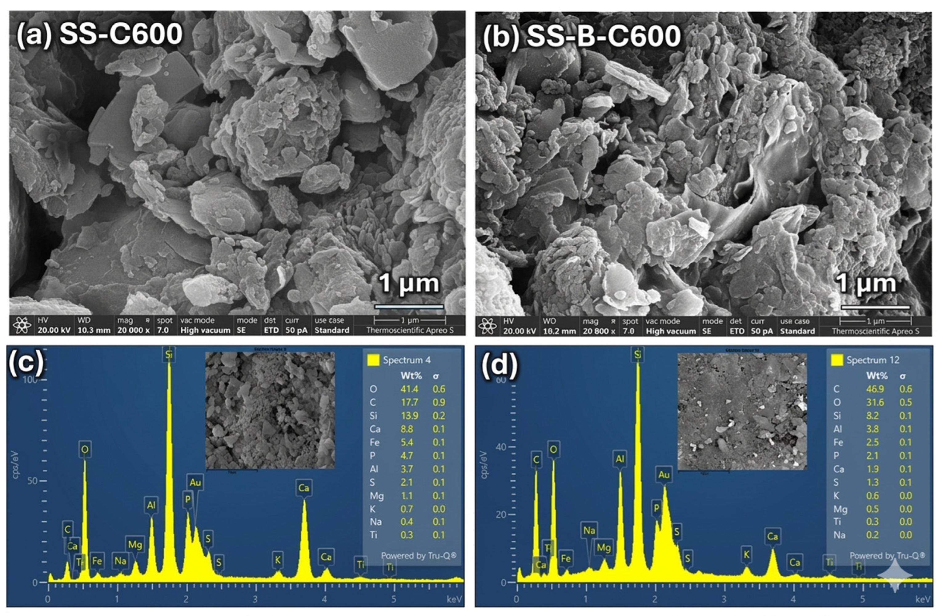 Biomass 06 00045 g003 Biomass 06 00045 g003