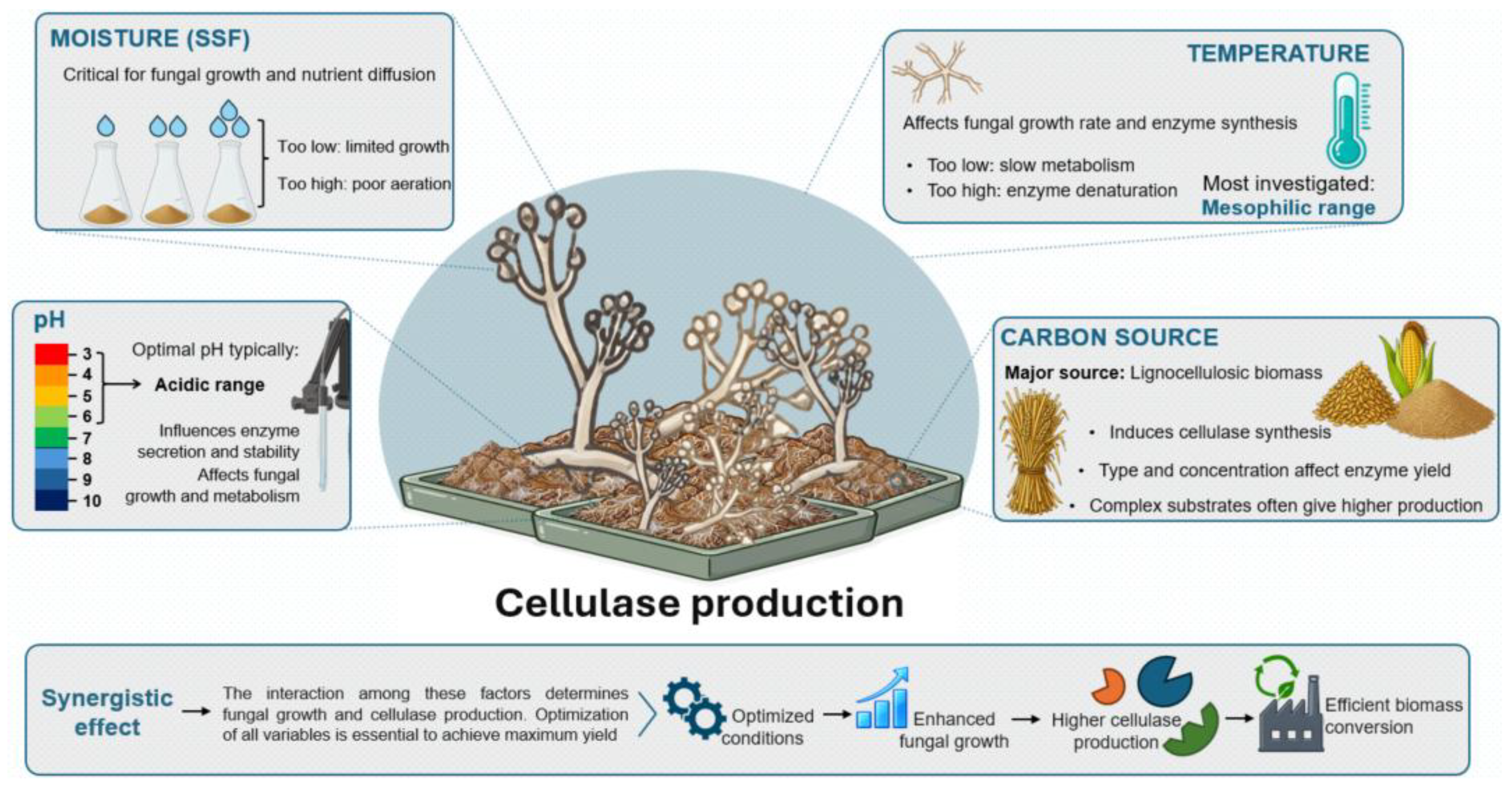 Biomass 06 00064 g002 Biomass 06 00064 g002