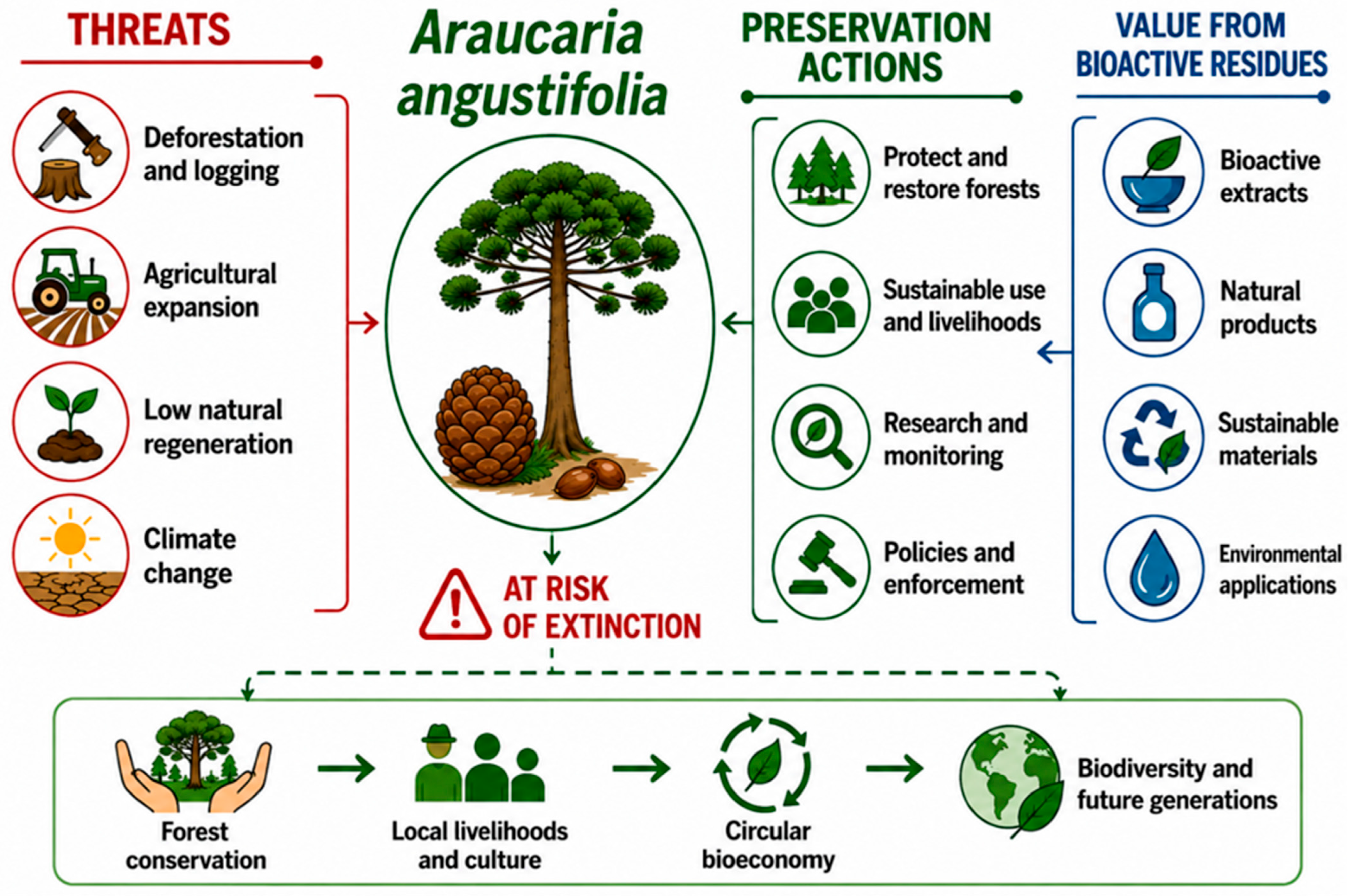 Biomass 06 00078 g001 Biomass 06 00078 g001
