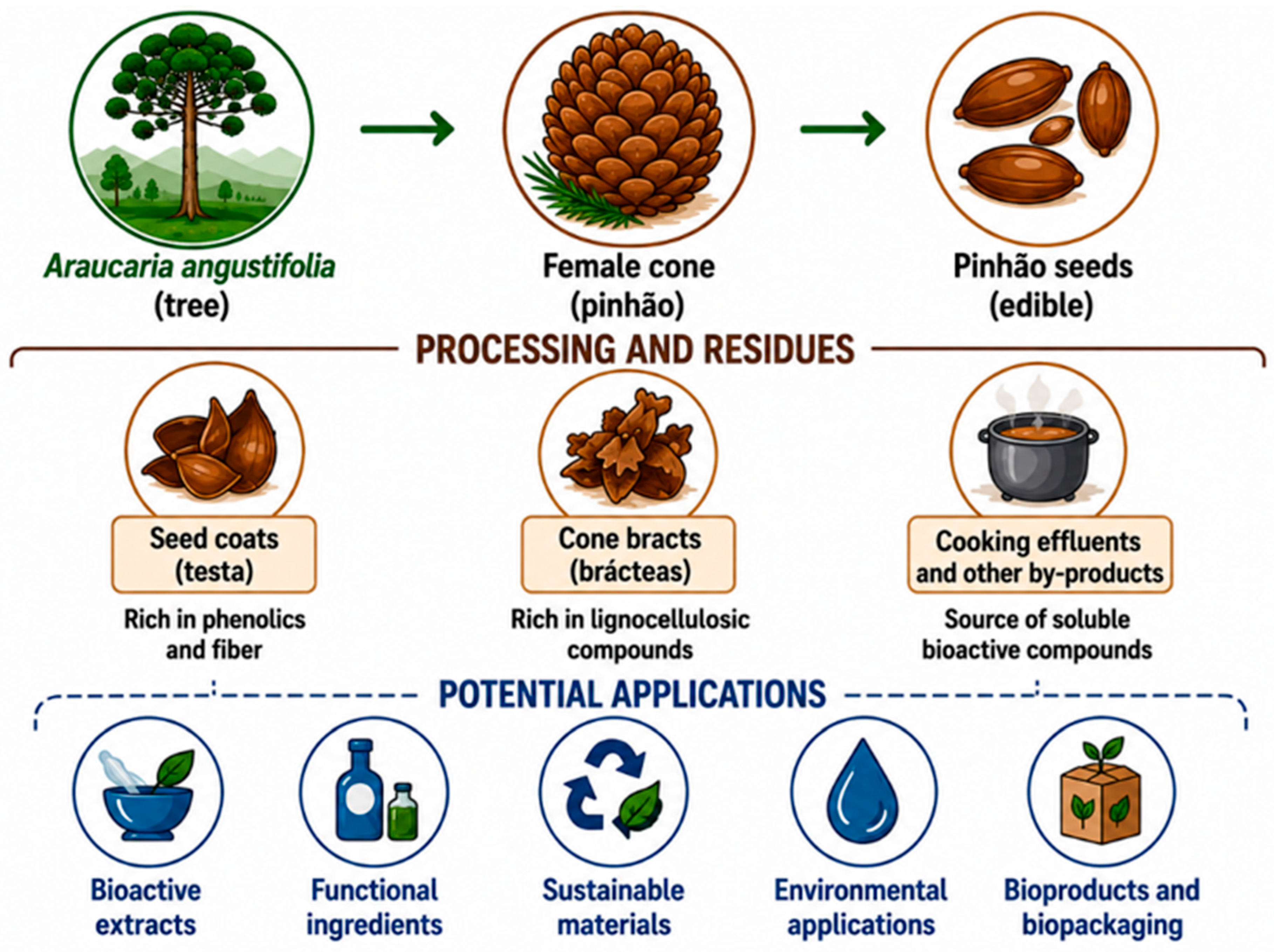 Biomass 06 00078 g003 Biomass 06 00078 g003