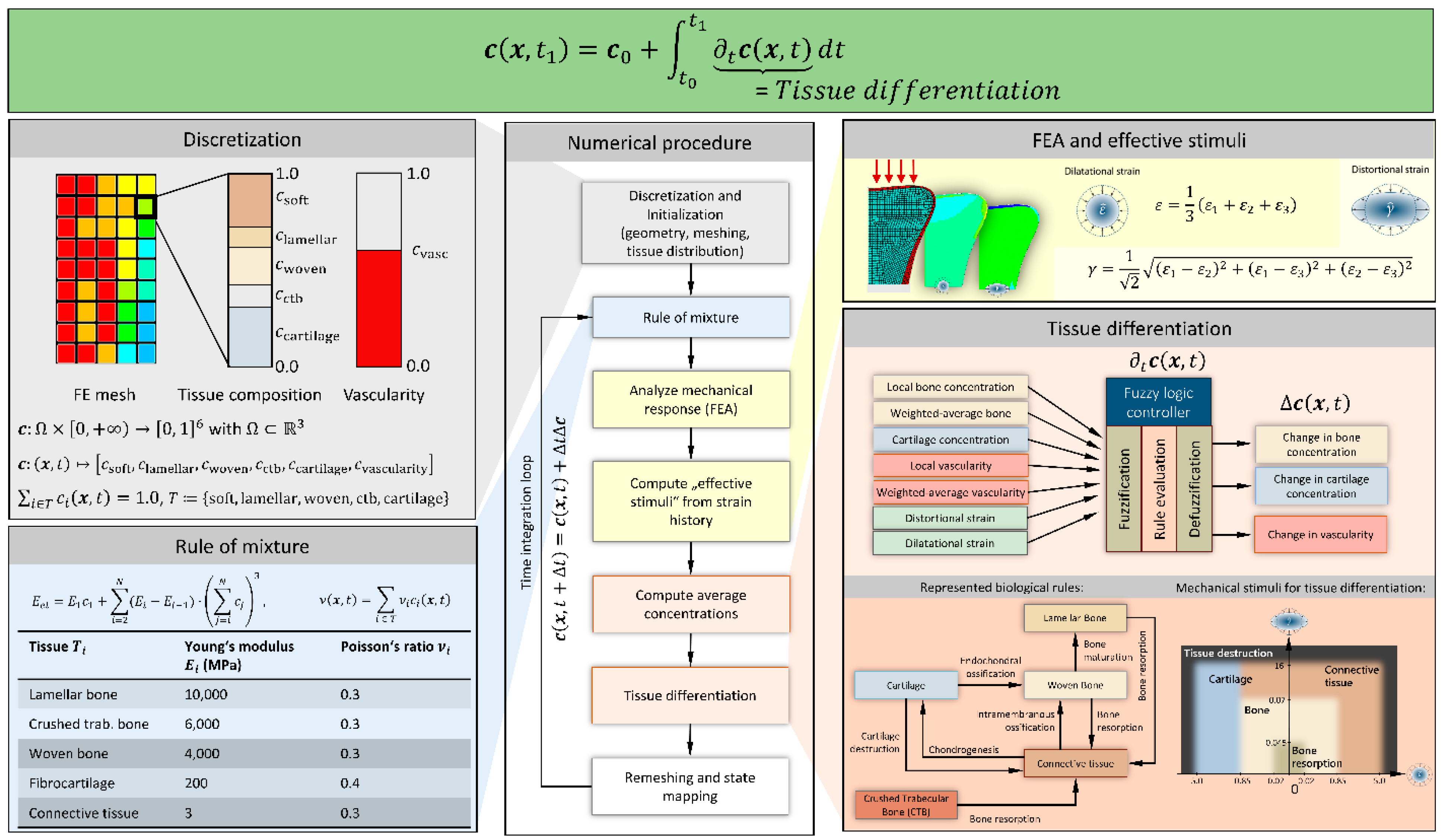 Biomechanics 01 00003 g001 Biomechanics 01 00003 g001