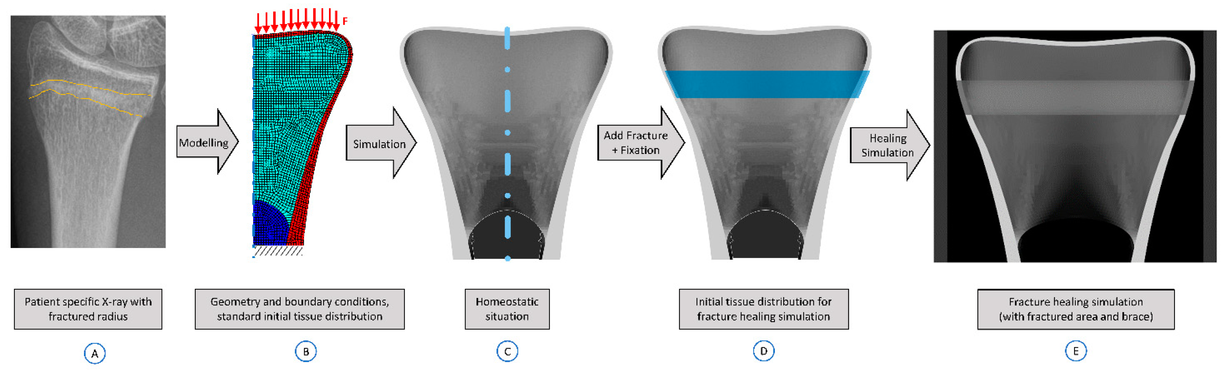 Biomechanics 01 00003 g003 Biomechanics 01 00003 g003