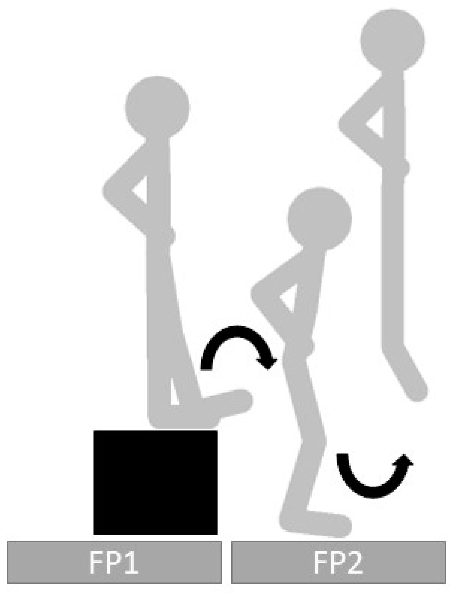 Biomechanics 01 00015 g001